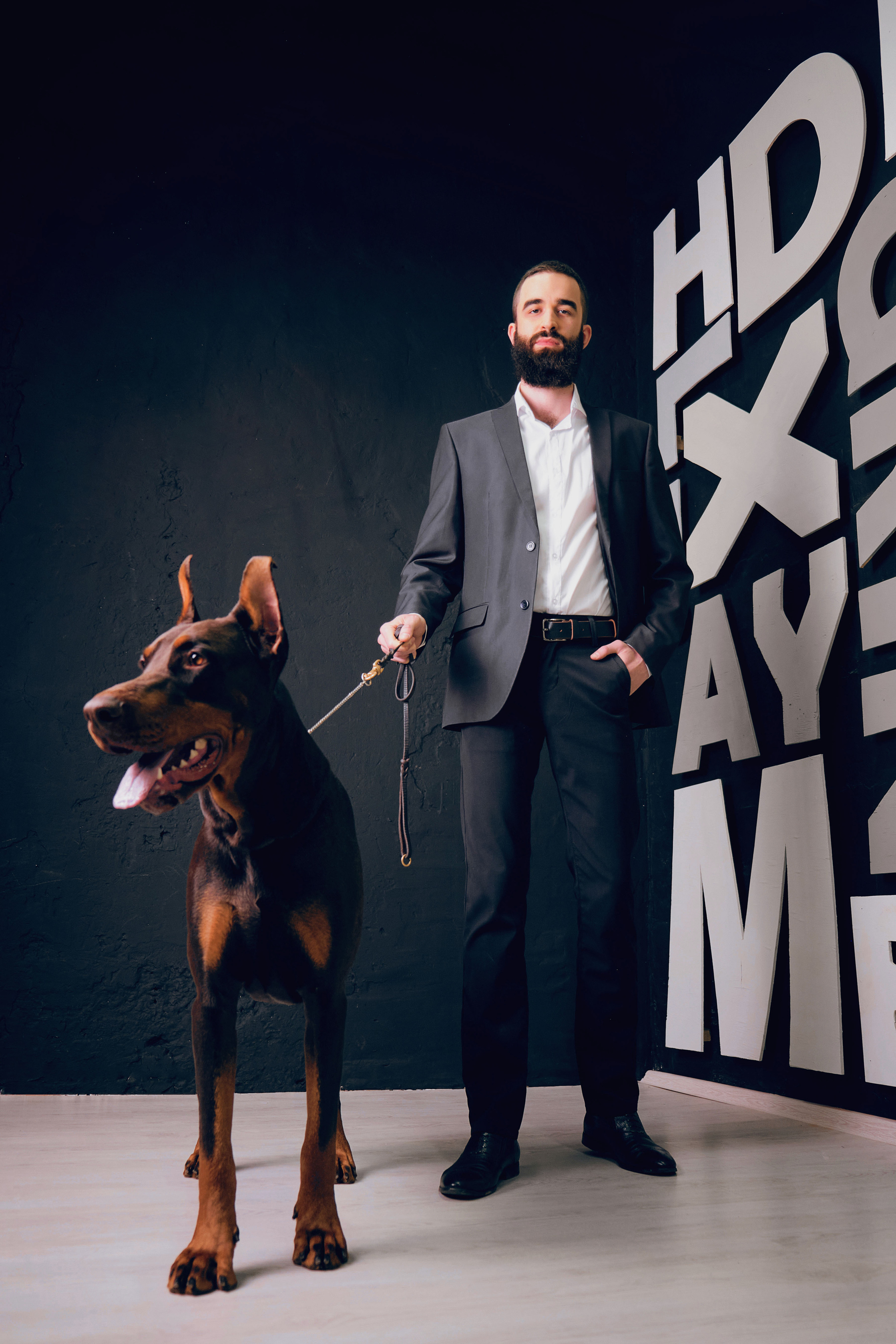 Доберманы. Ася Ложкина фотограф Ижевск