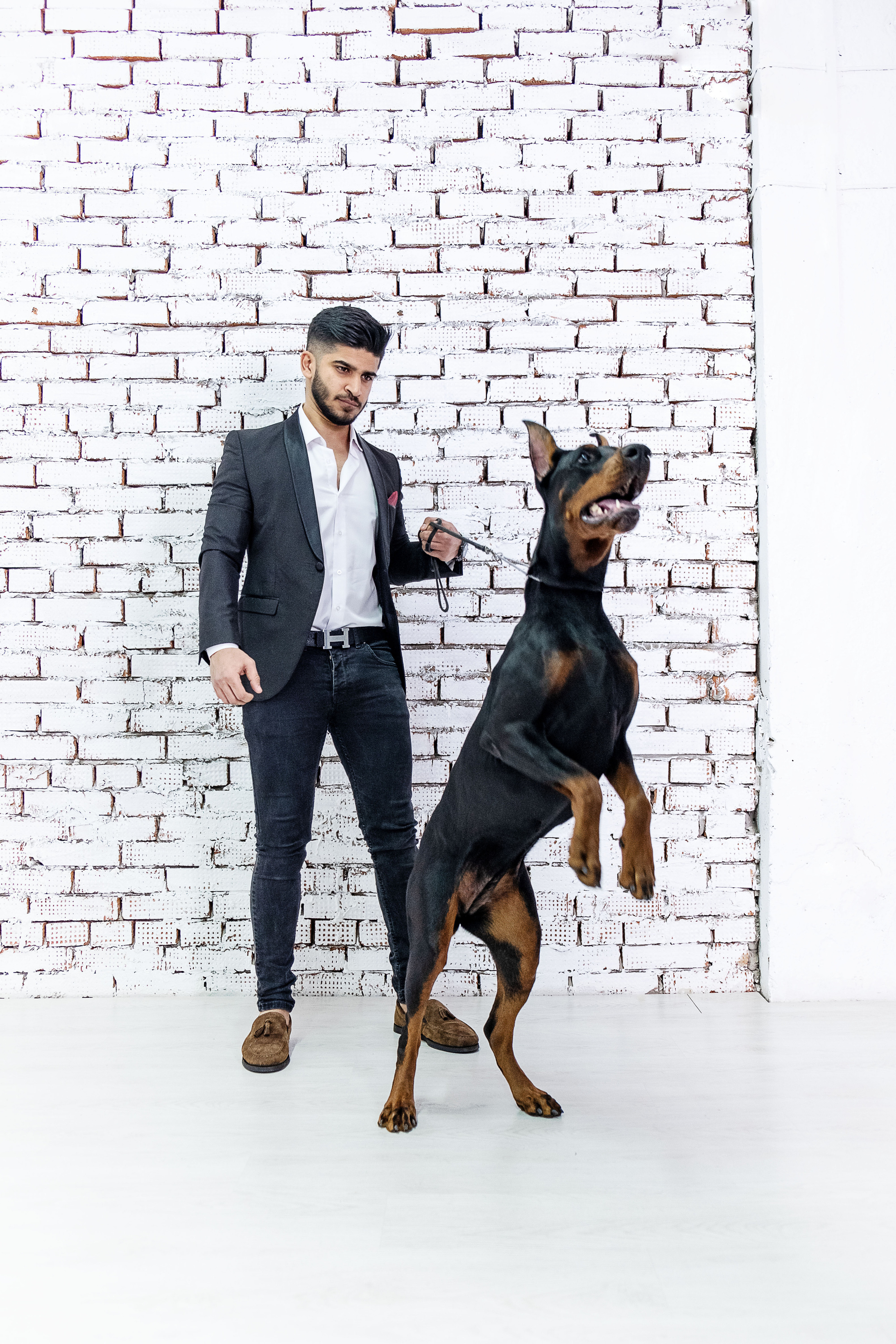 Доберманы. Ася Ложкина фотограф Ижевск