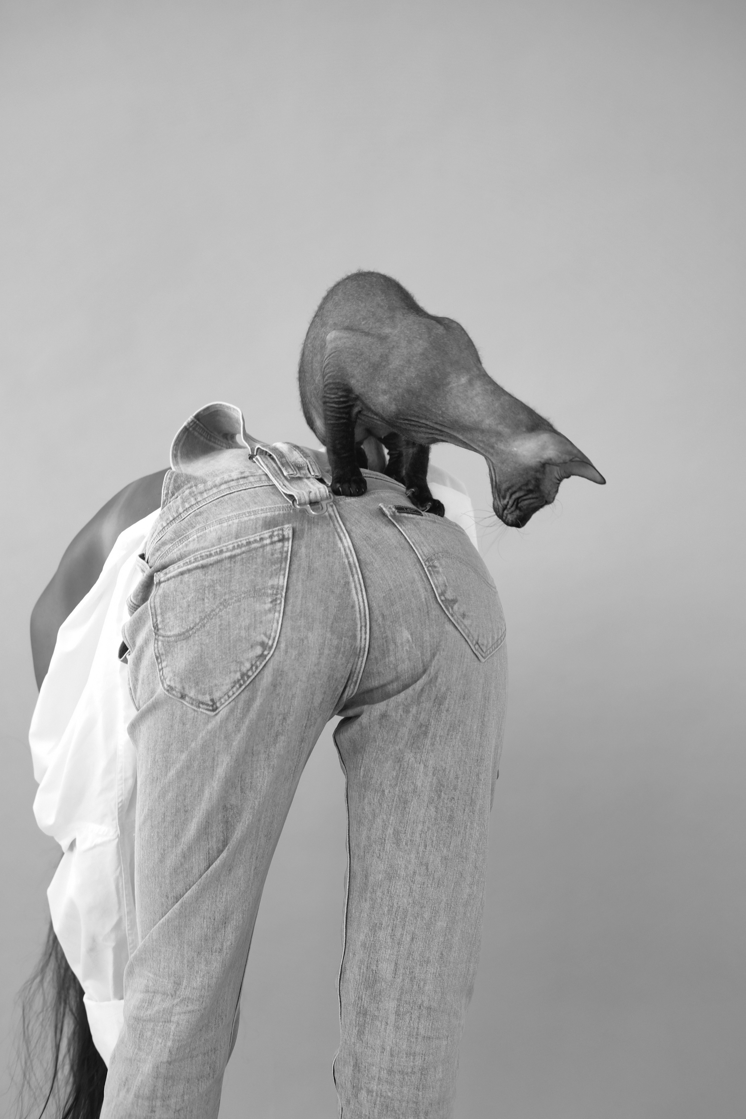 Кексик. Ася Ложкина фотограф Ижевск