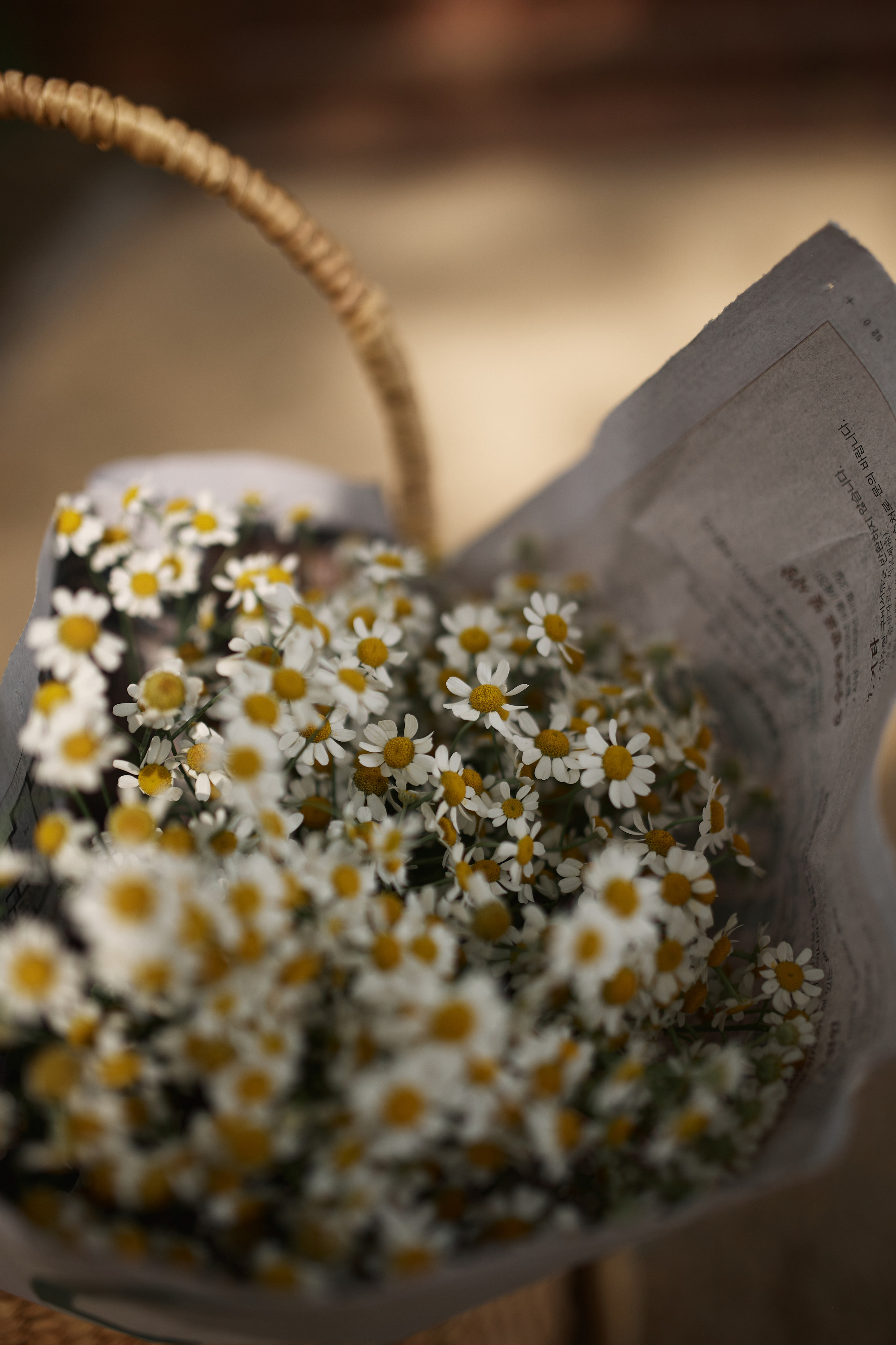 🤍. Ваш душевный фотограф