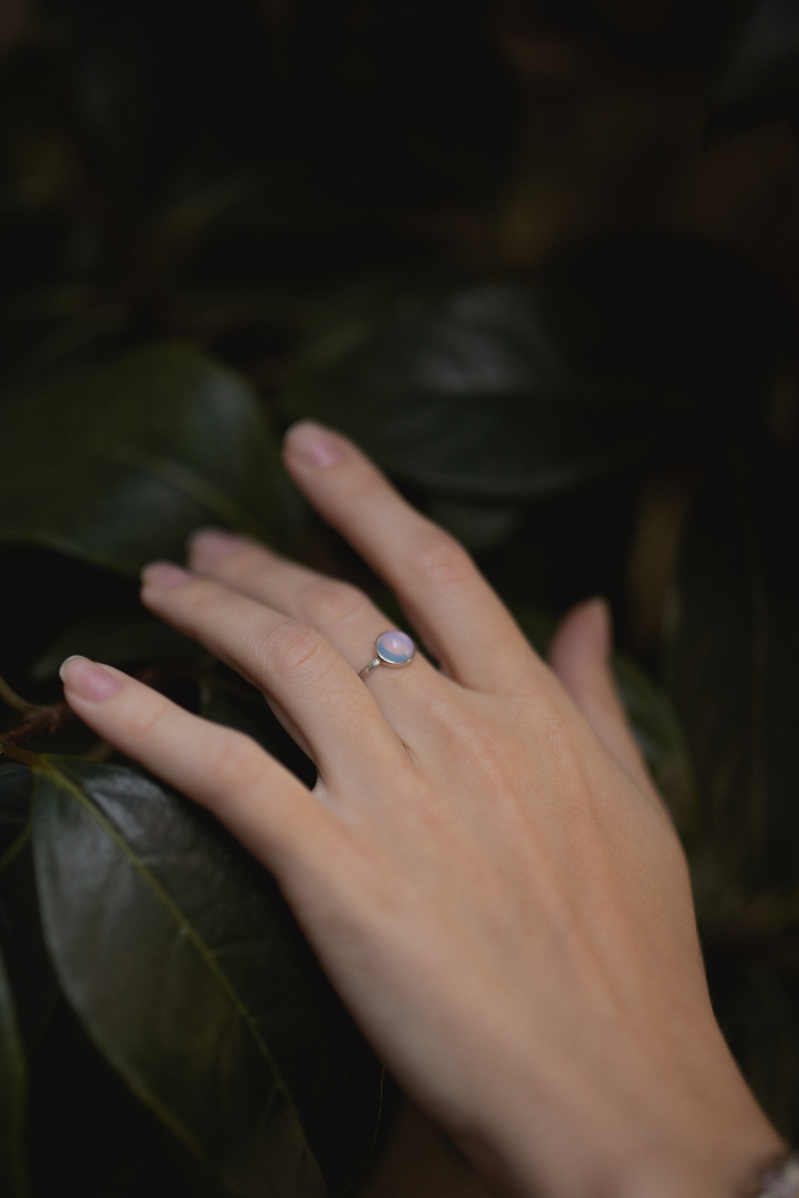 Alexandra. Katerina Simina — worldwide photographer | Europe