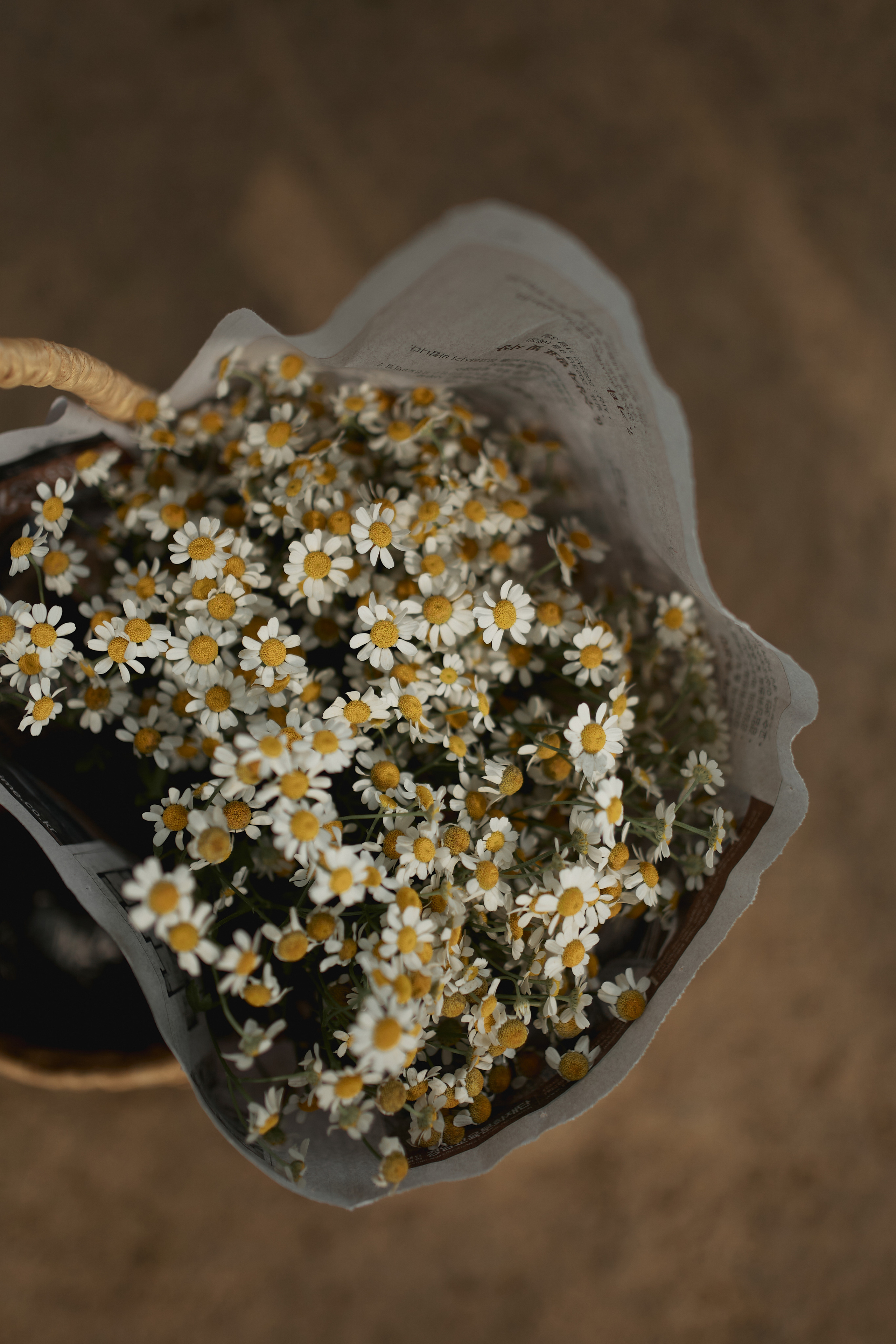 🤍. Ваш душевный фотограф