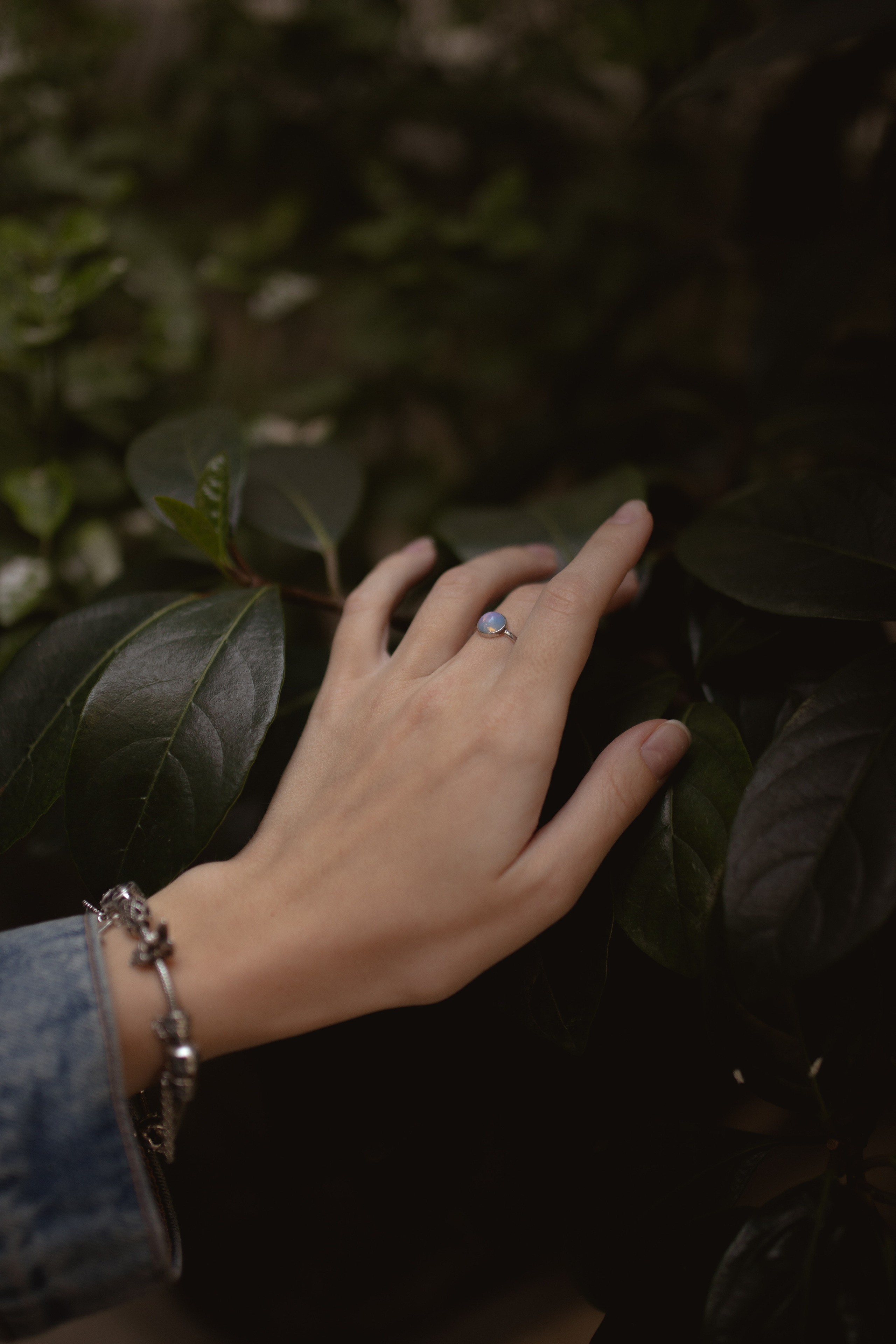 Alexandra. Katerina Simina — worldwide photographer | Europe