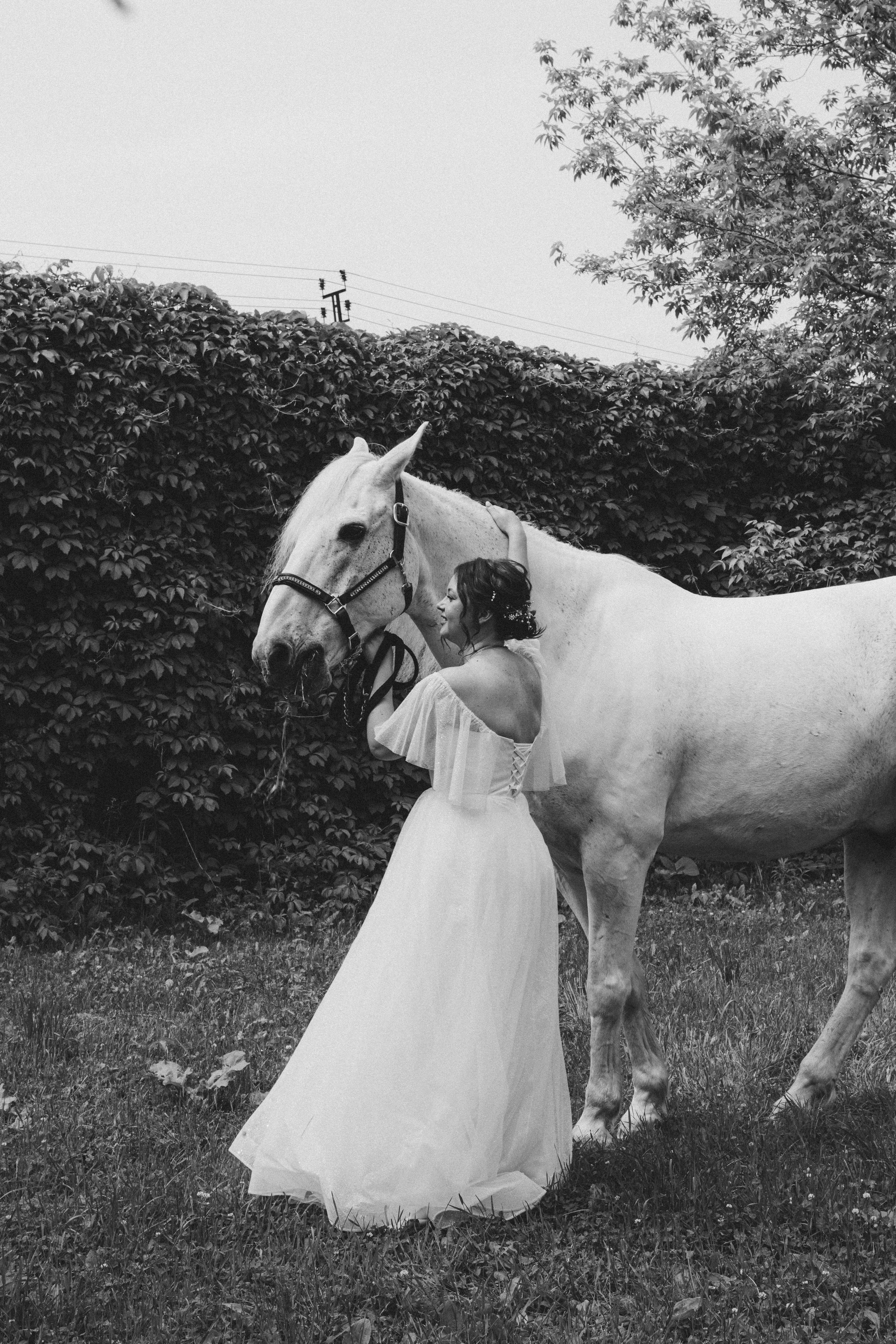 Свадебные съемки. Главная