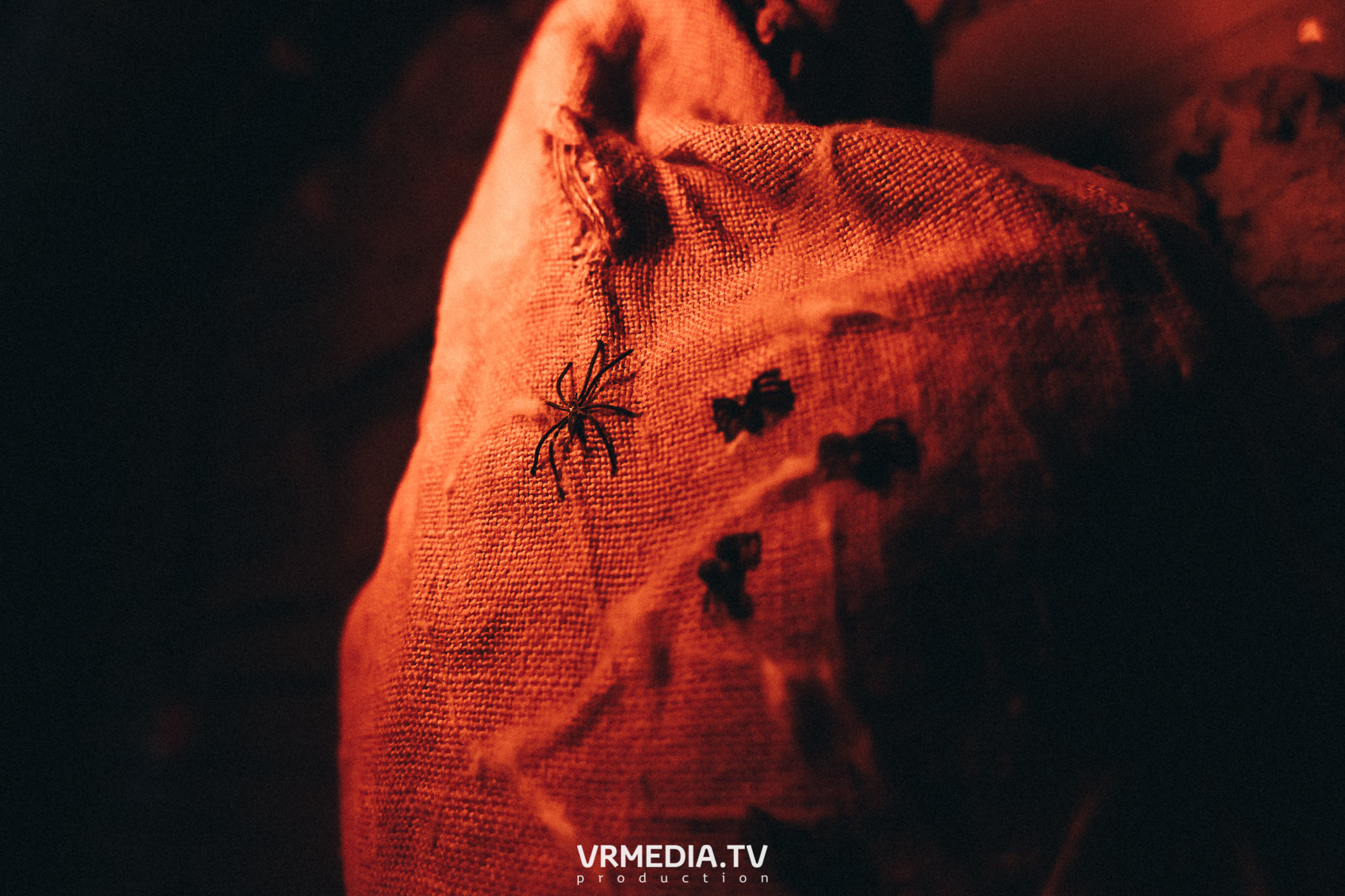 Halloween в баре «BORODA»