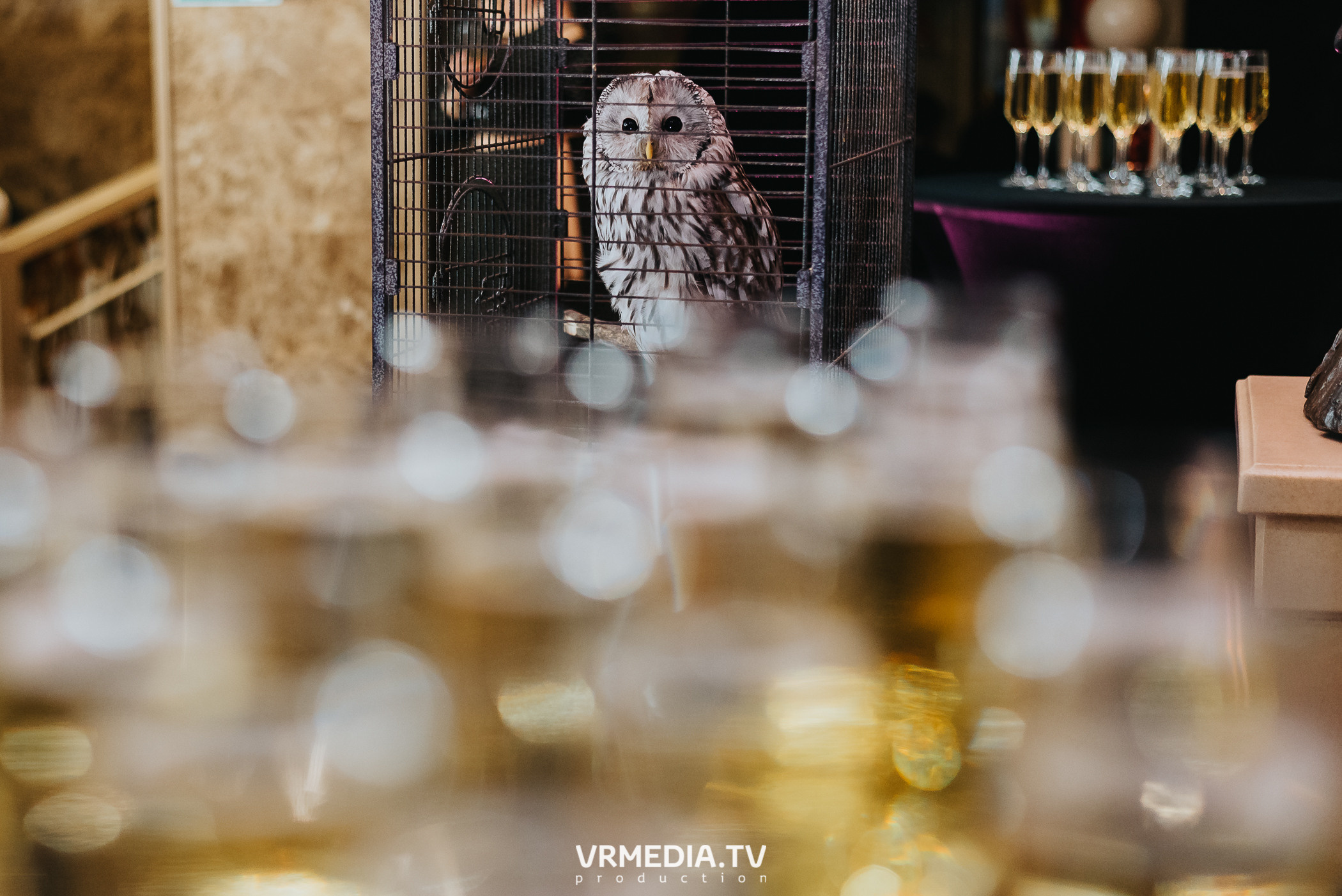 «Игра с Александром Друзем». В честь 27-летия компании БКС