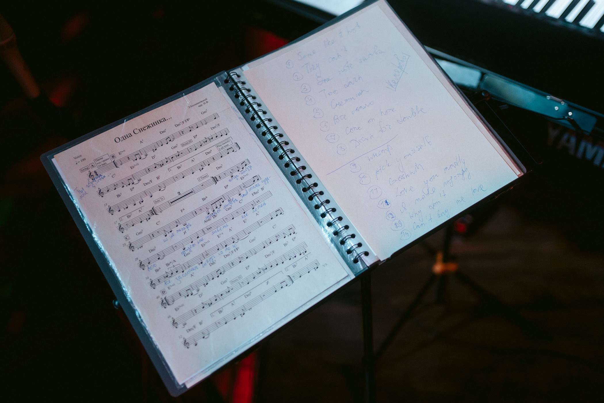 Джазовая среда. Анастасия Лютова и Лютый Бэнд (Москва)