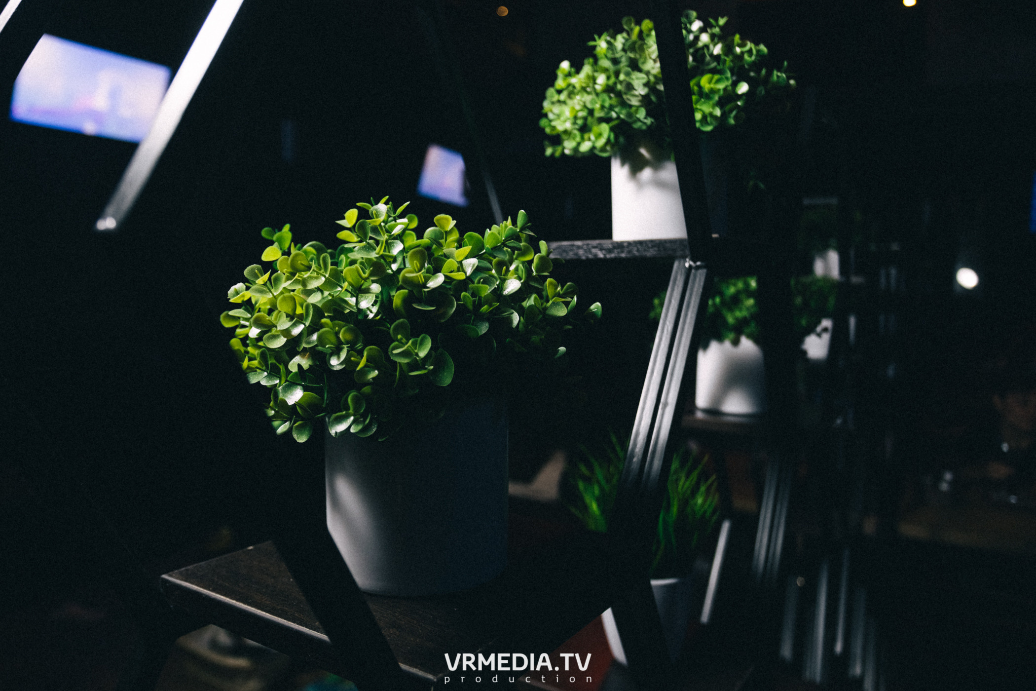 Выходные в баре «DOSKI»