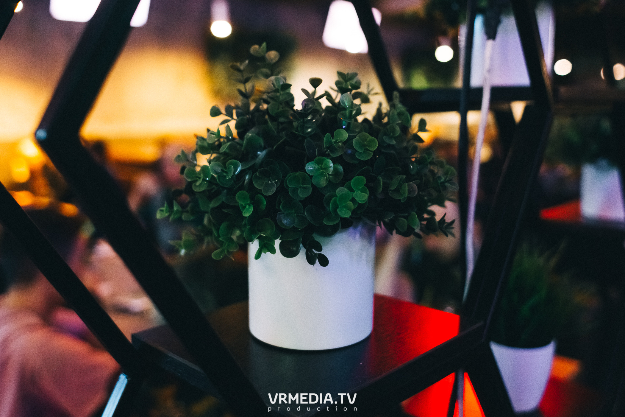 WoW QuiZ в баре «DOSKI»