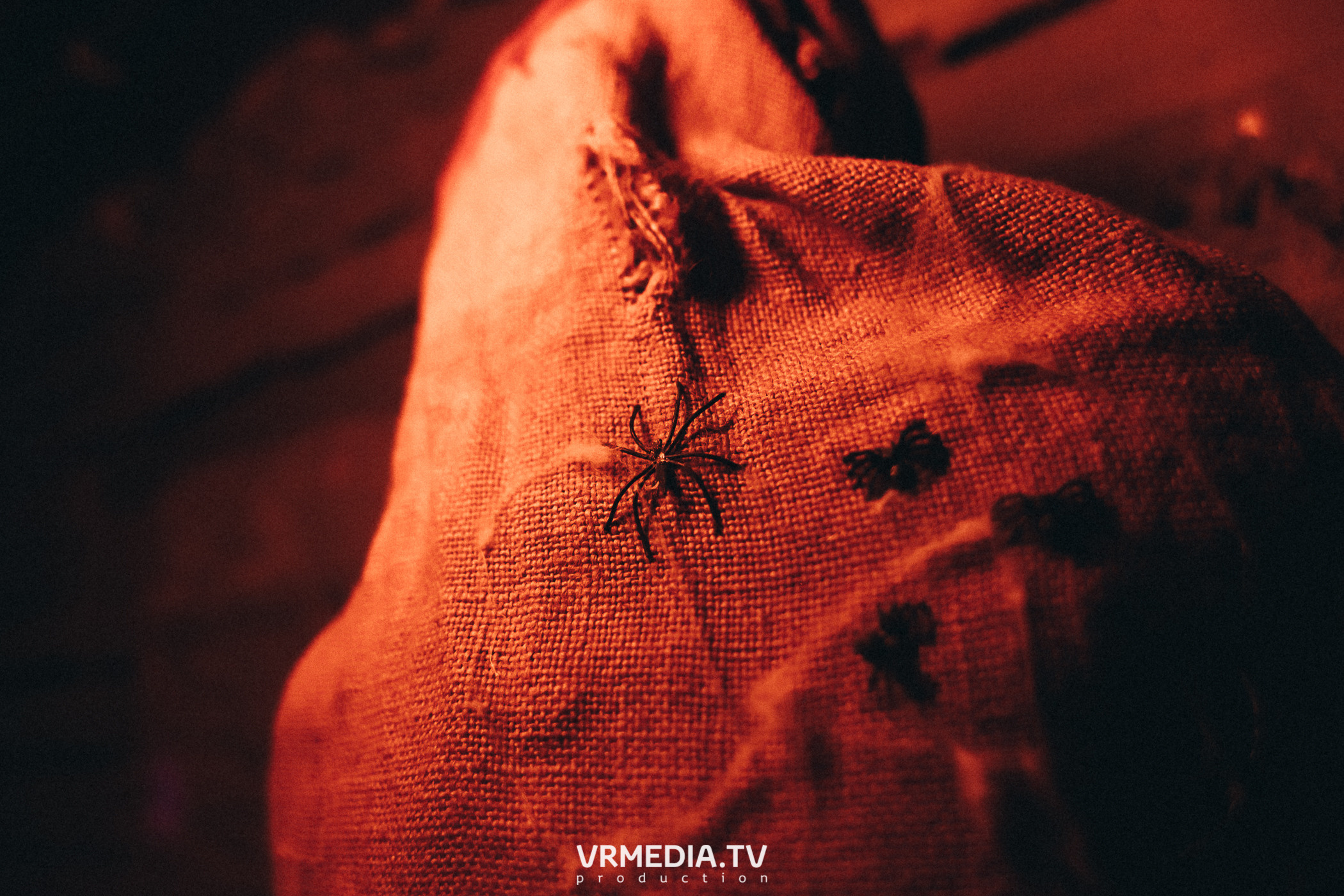 Halloween в баре «BORODA»