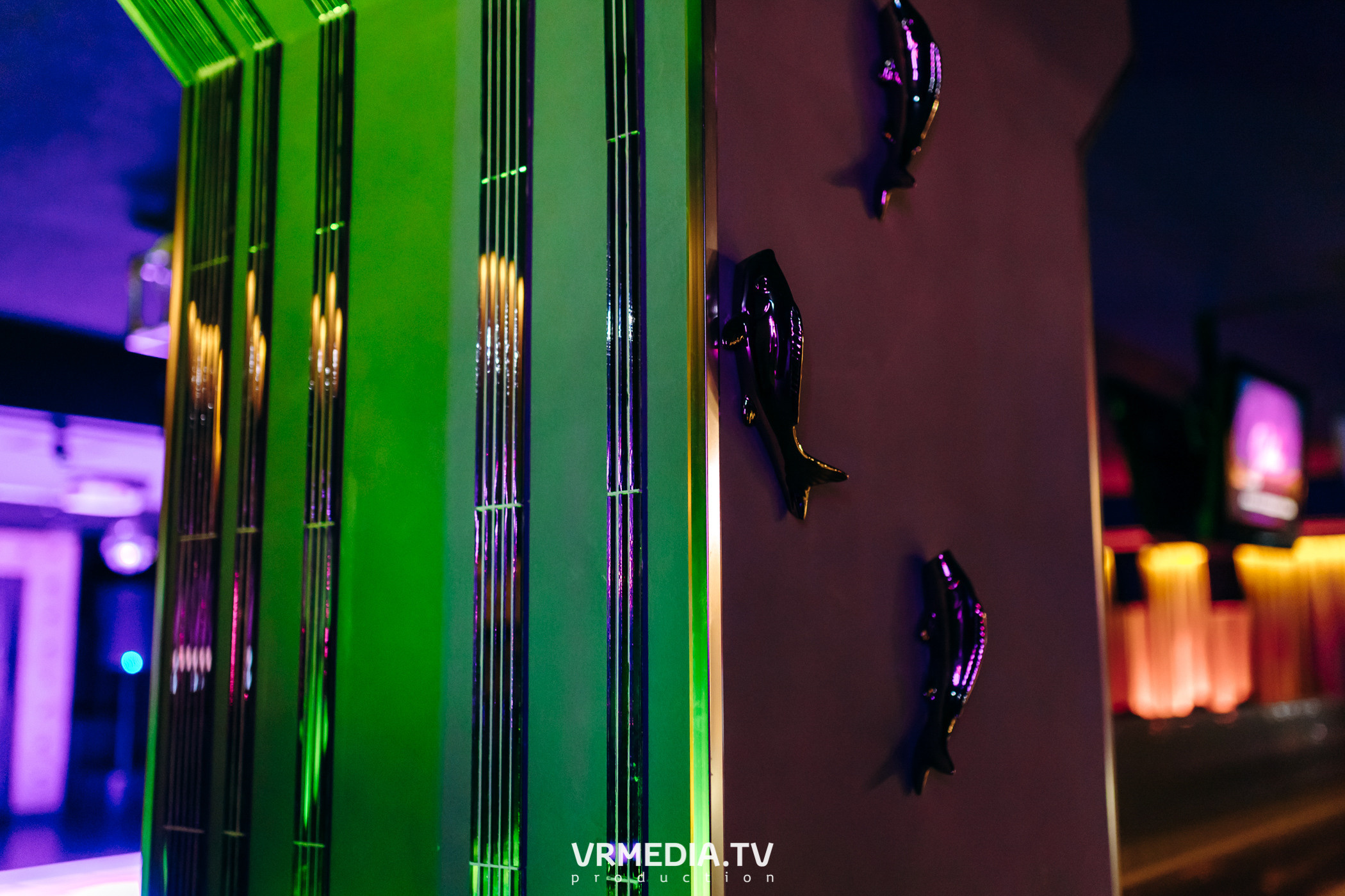 Ночь фотографии в караоке-баре «Volna»