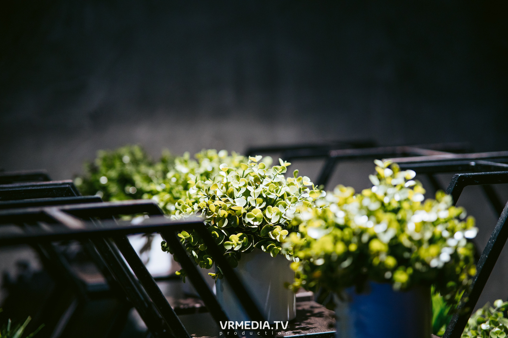 WoW QuiZ в баре «DOSKI»