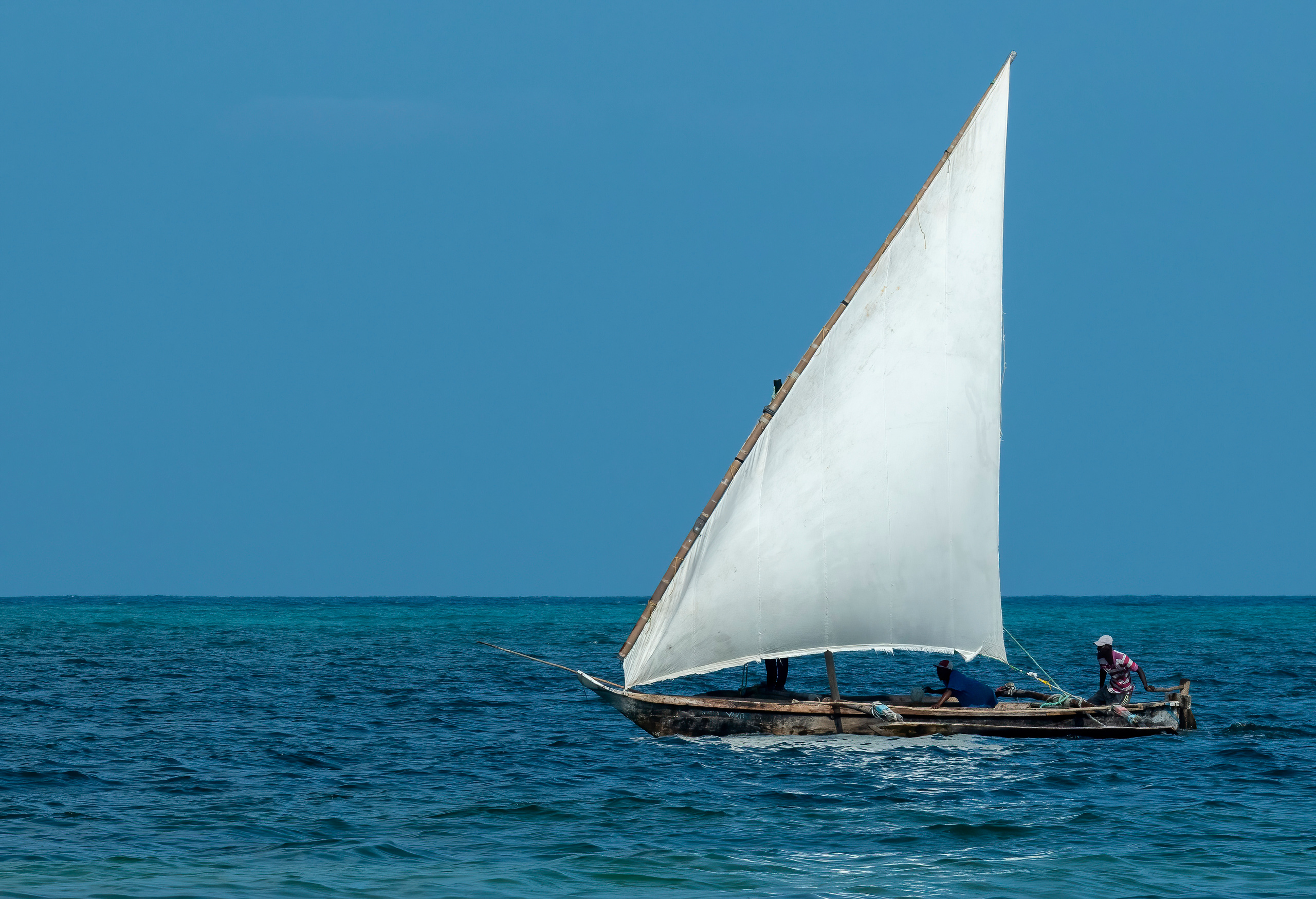Танзания 2021. Создание обучающих видеороликов Puponin Production