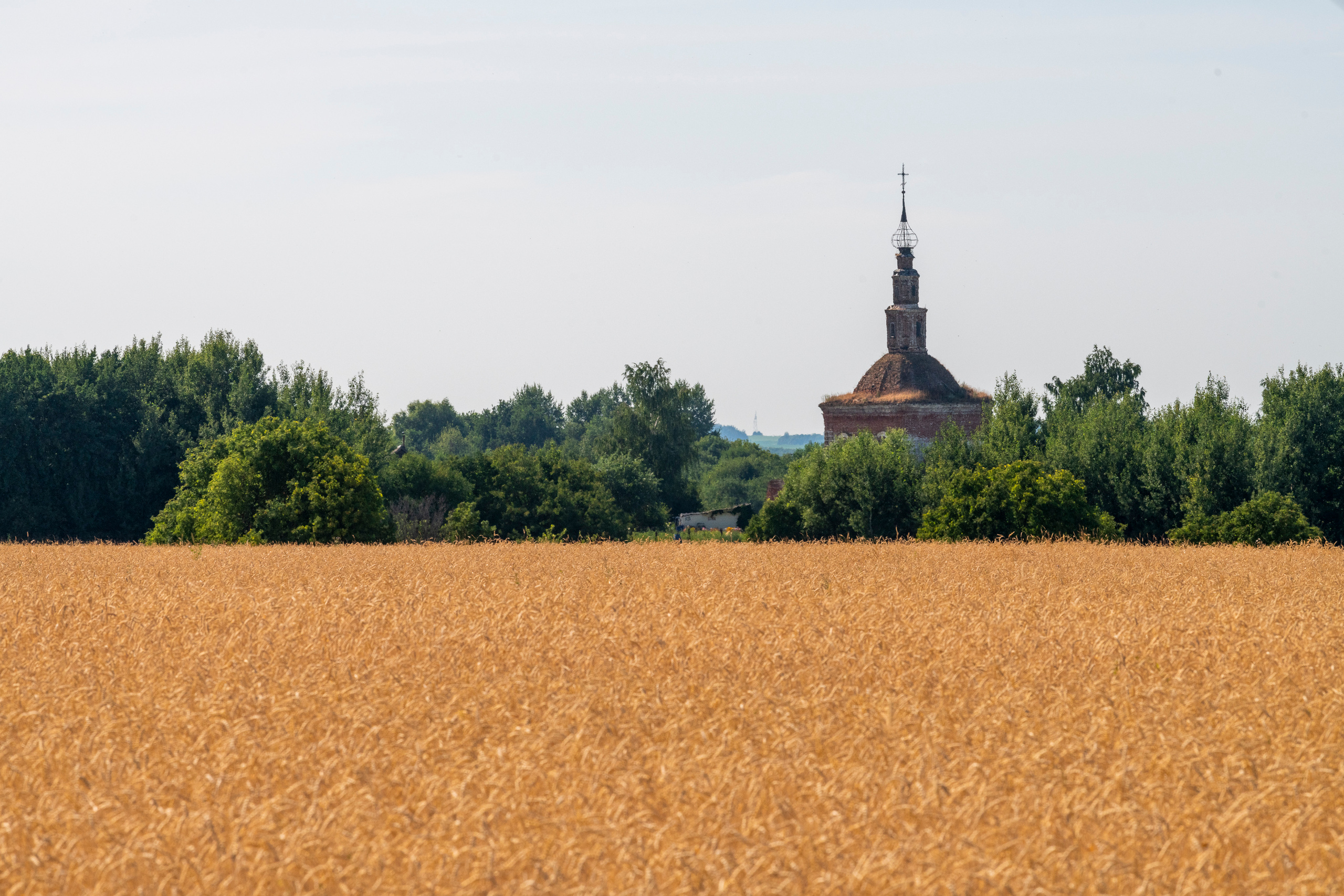Суздаль и окрестности. Создание обучающих видеороликов Puponin Production