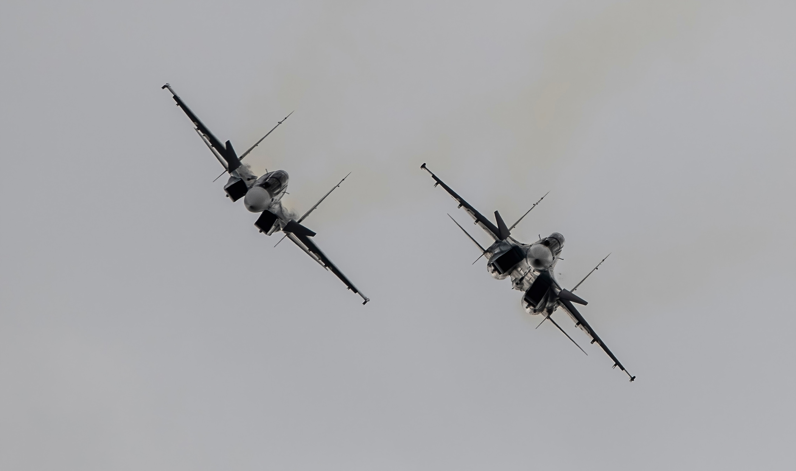 Макс 2021. Создание обучающих видеороликов Puponin Production