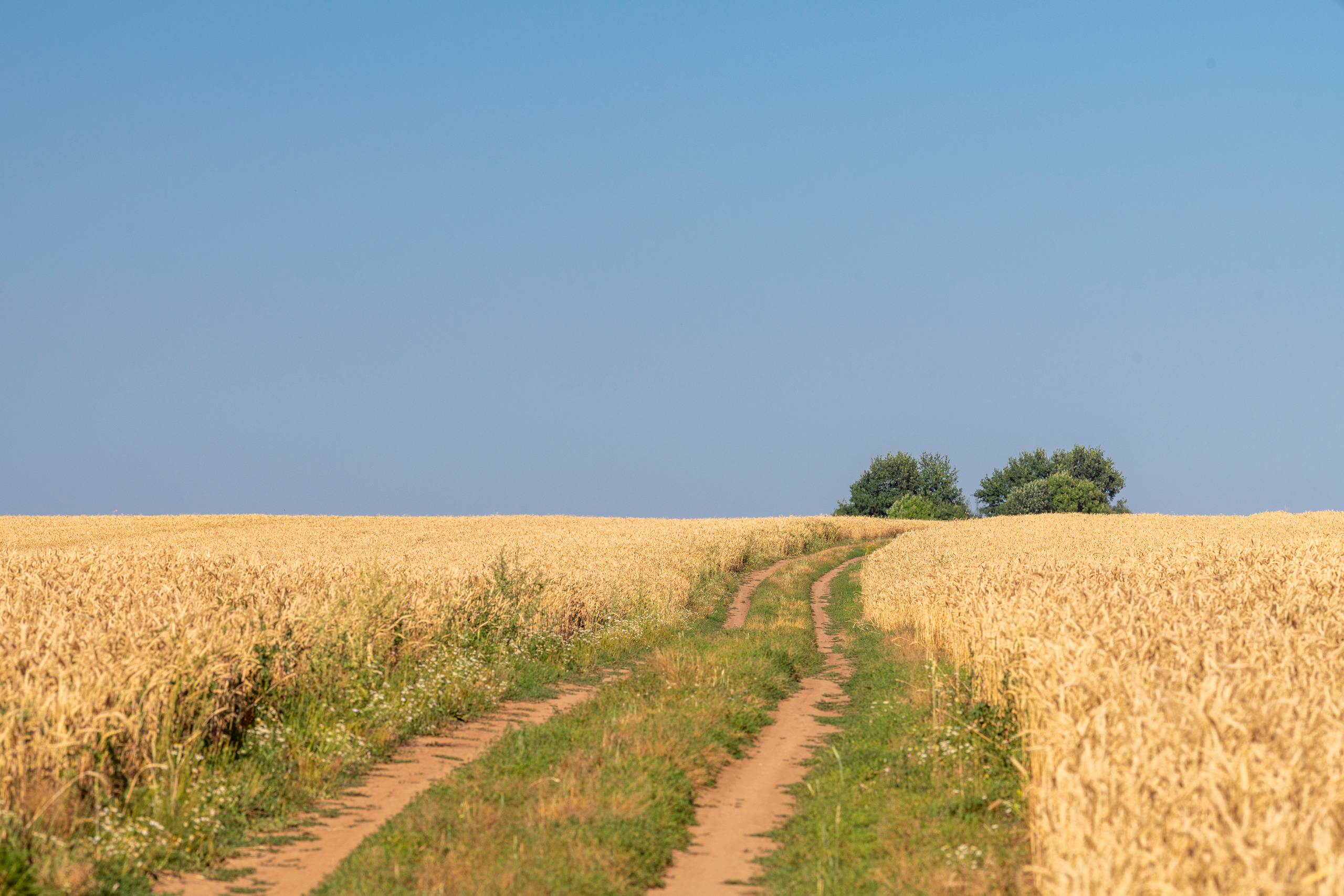 Суздаль и окрестности. Создание обучающих видеороликов Puponin Production
