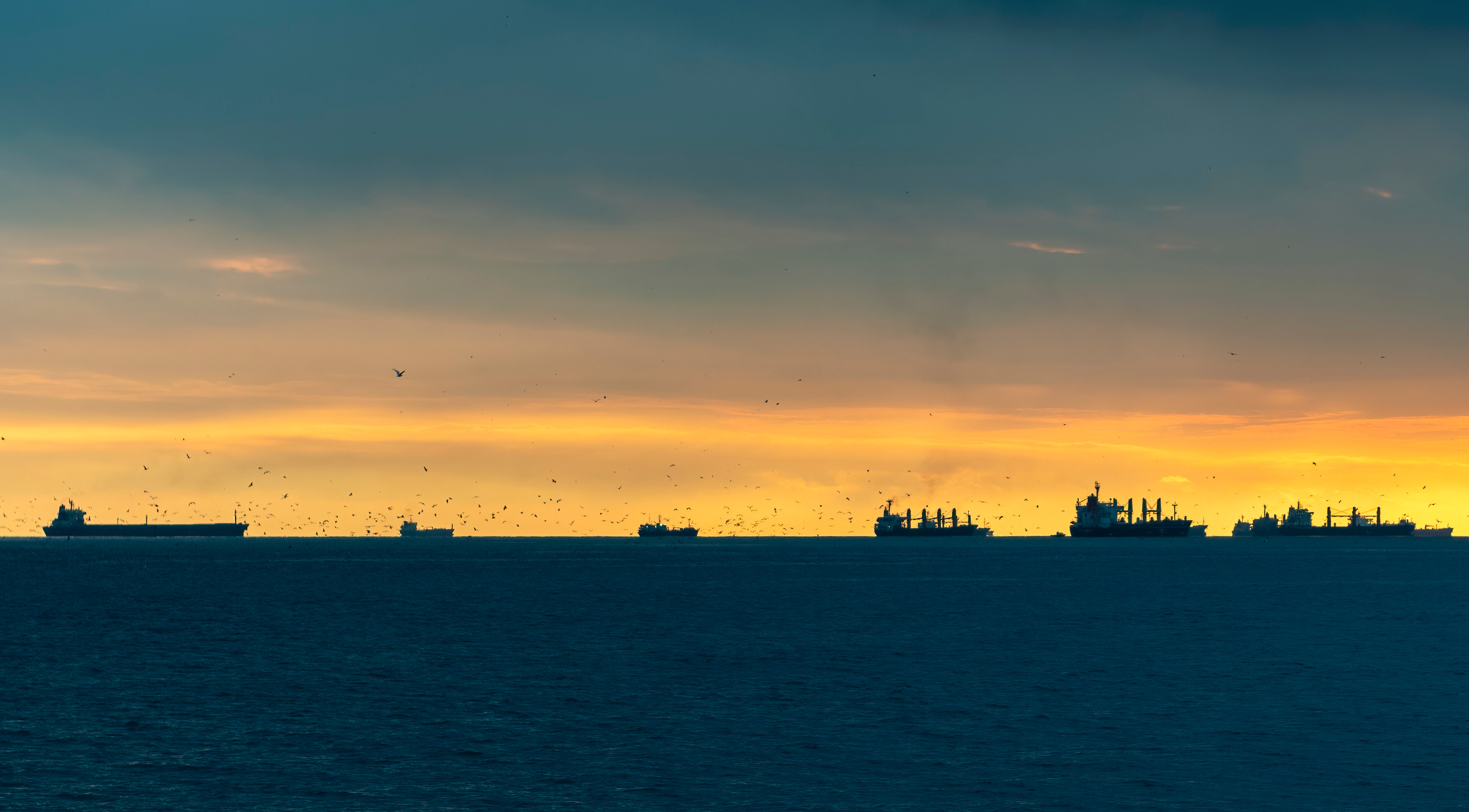 Стамбул 2019-2020. Создание обучающих видеороликов Puponin Production