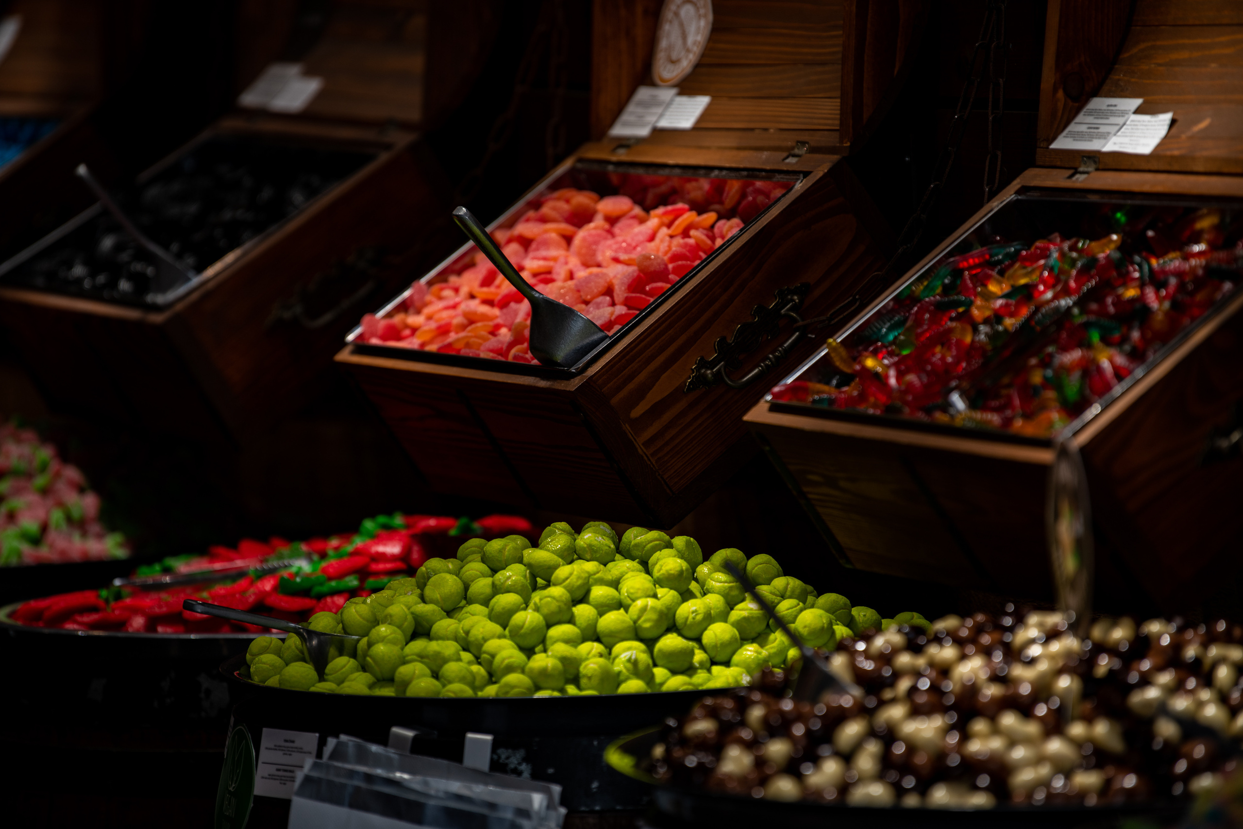 Дубровник 2021. Создание обучающих видеороликов Puponin Production