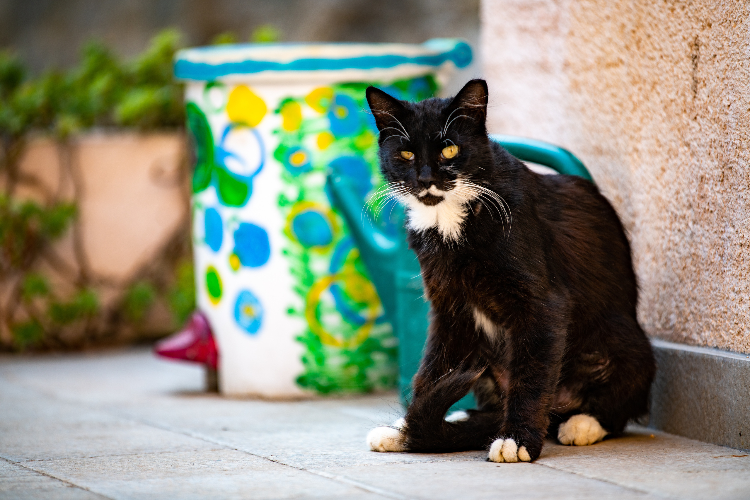 Дубровник 2021. Создание обучающих видеороликов Puponin Production