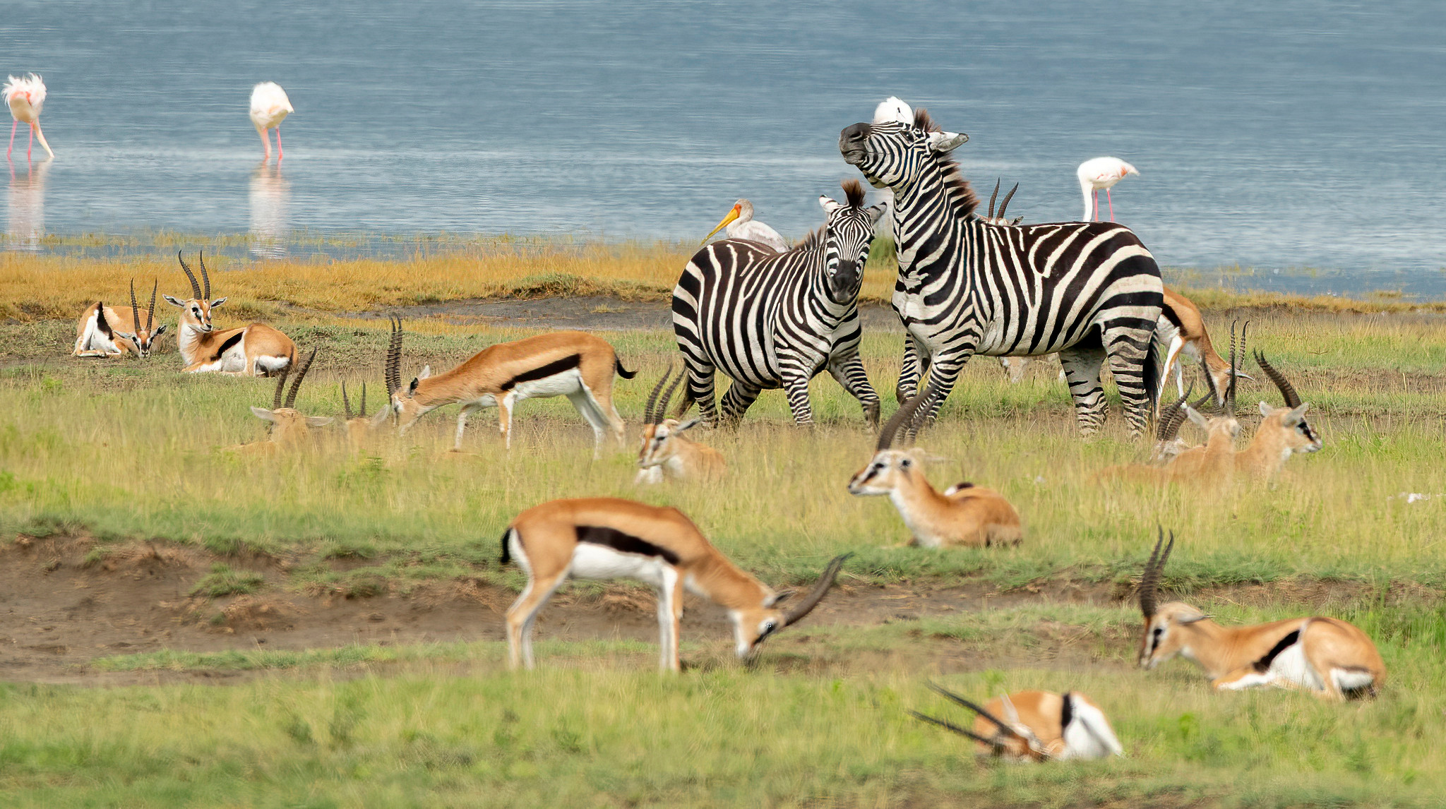 Танзания 2021. Создание обучающих видеороликов Puponin Production