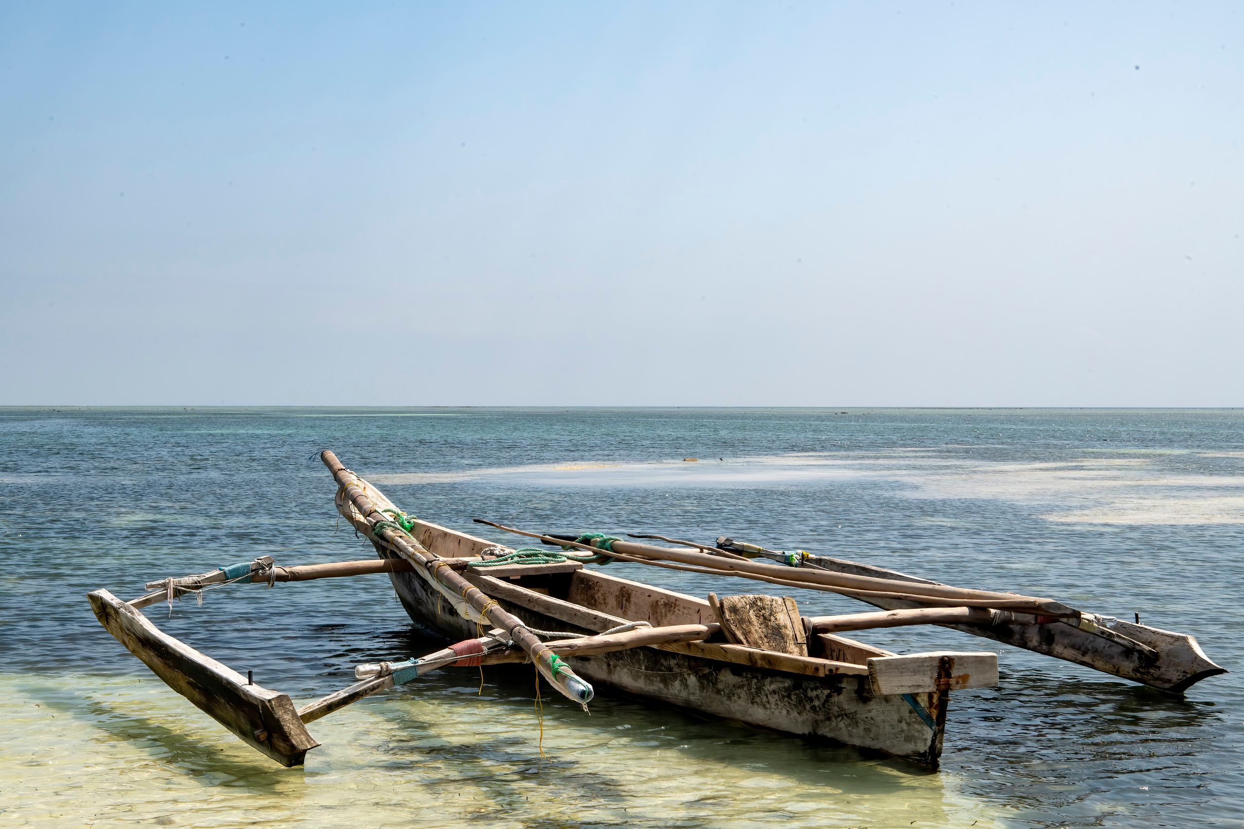 Танзания 2021. Создание обучающих видеороликов Puponin Production