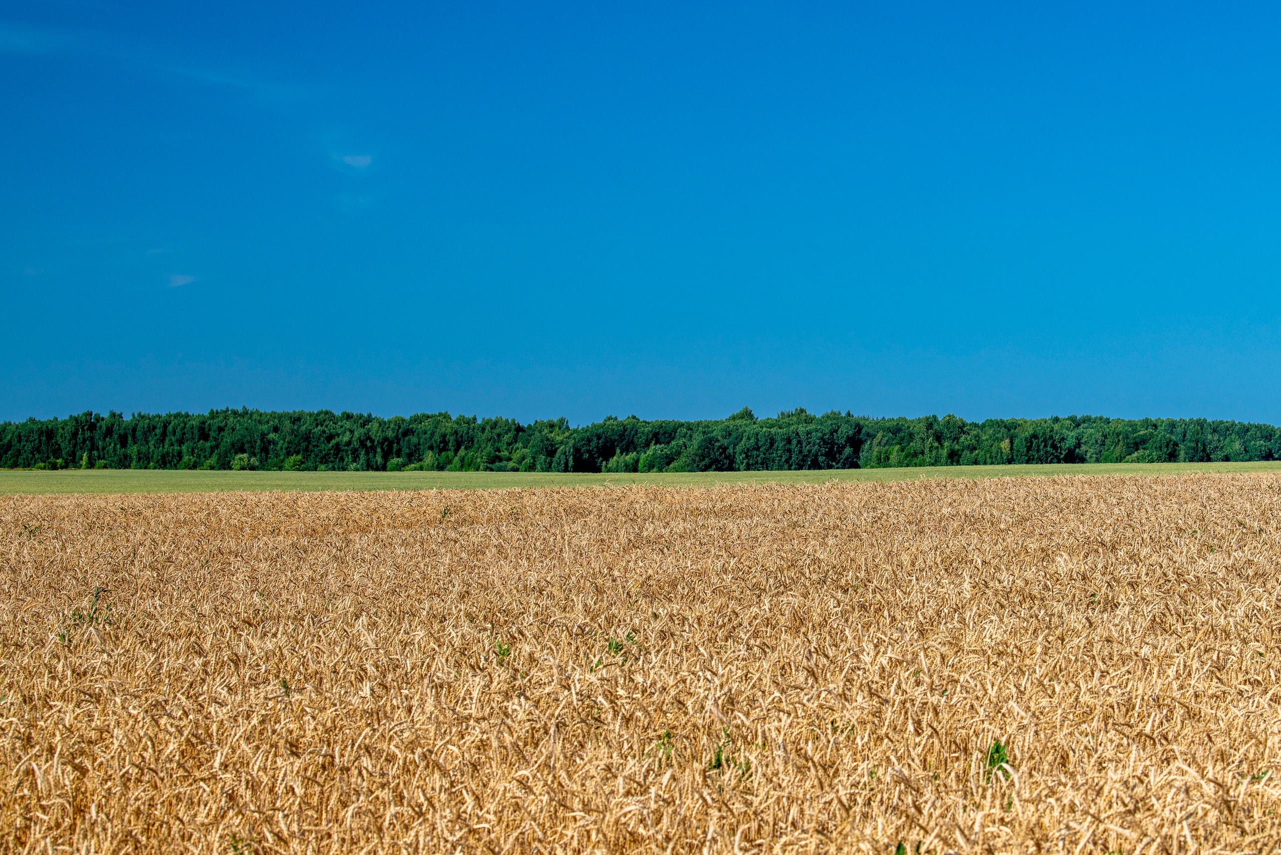 Суздаль и окрестности. Создание обучающих видеороликов Puponin Production
