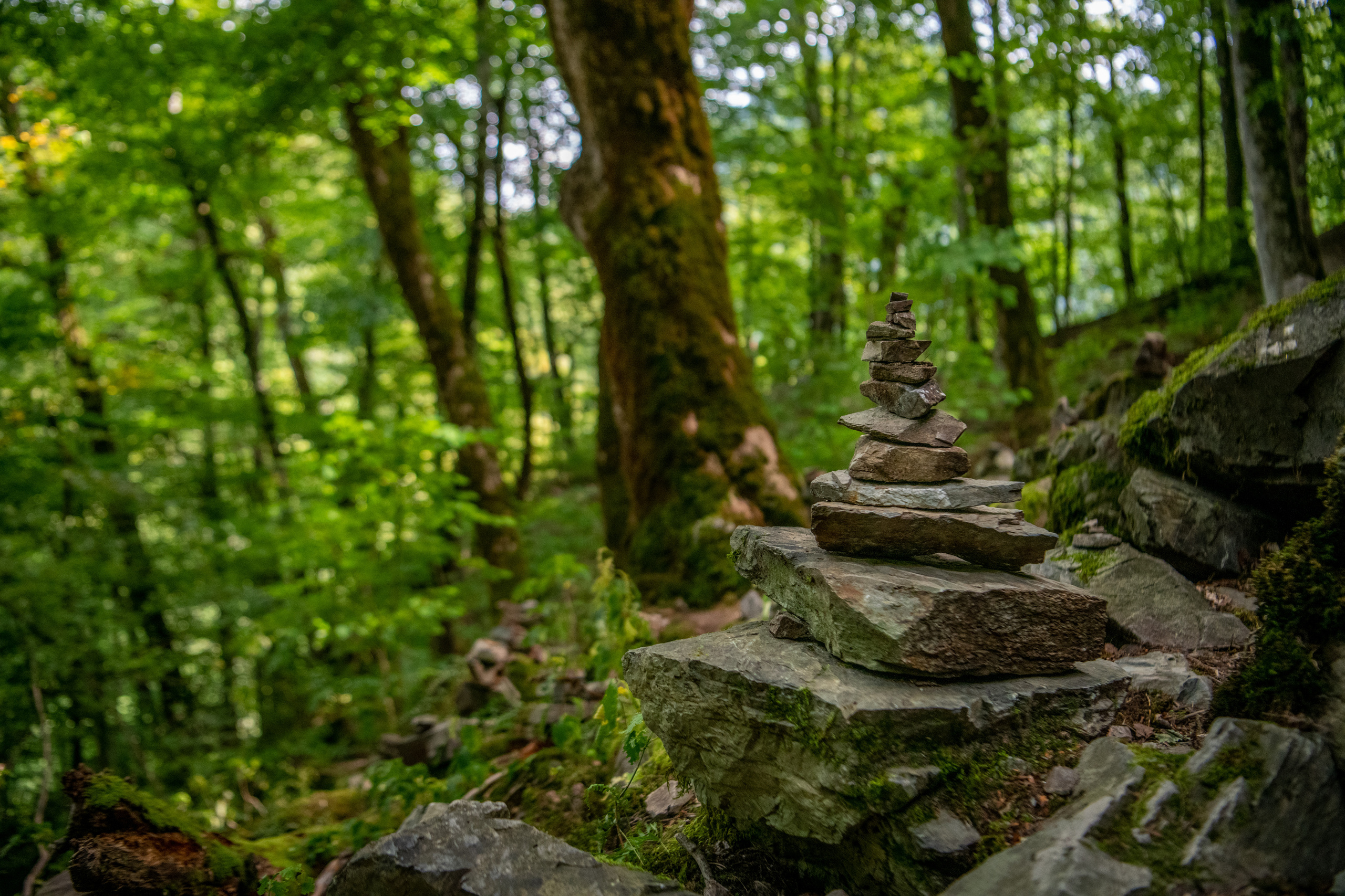 Красная поляна, Сочи. Создание обучающих видеороликов Puponin Production
