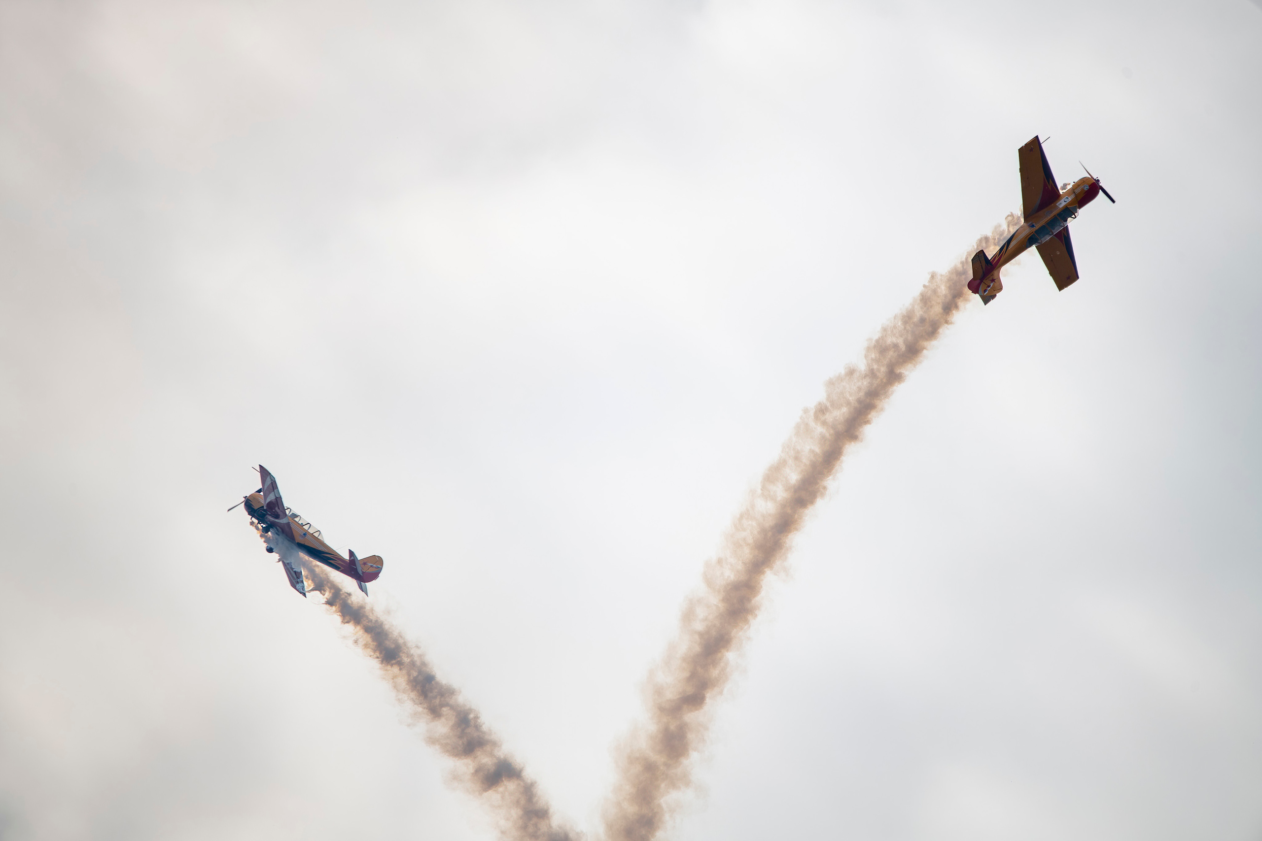 Макс 2021. Создание обучающих видеороликов Puponin Production