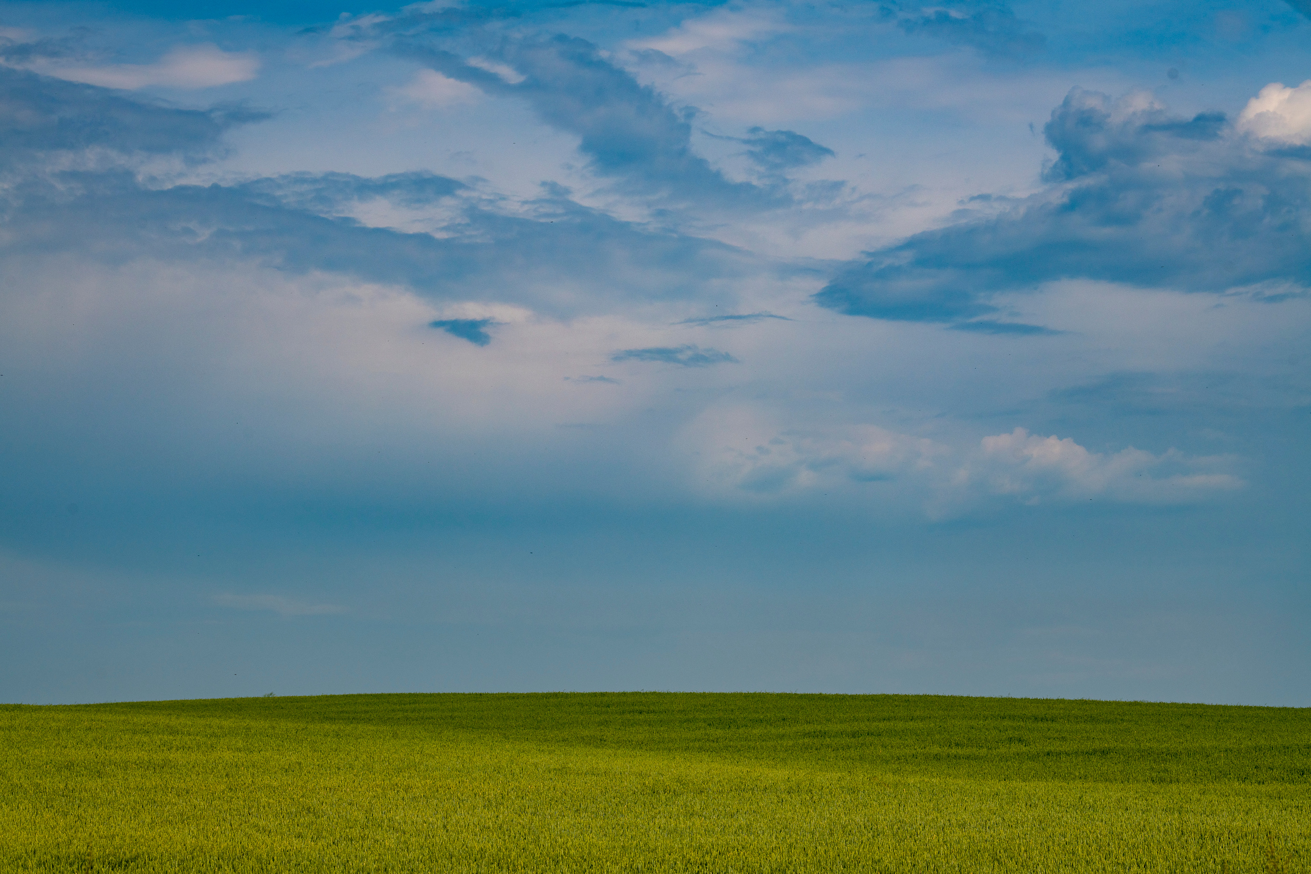 Суздаль и окрестности. Создание обучающих видеороликов Puponin Production