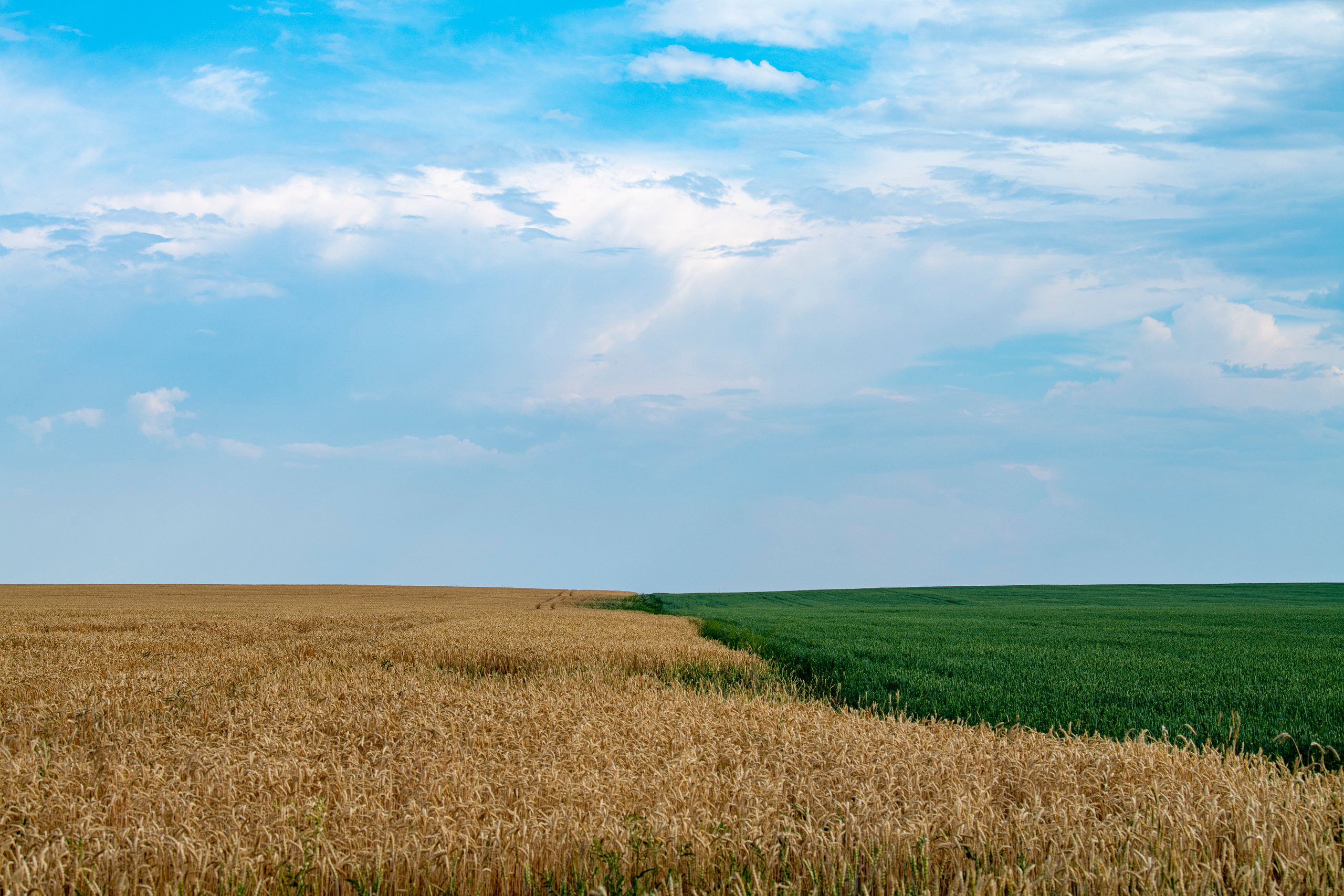 Суздаль и окрестности. Создание обучающих видеороликов Puponin Production