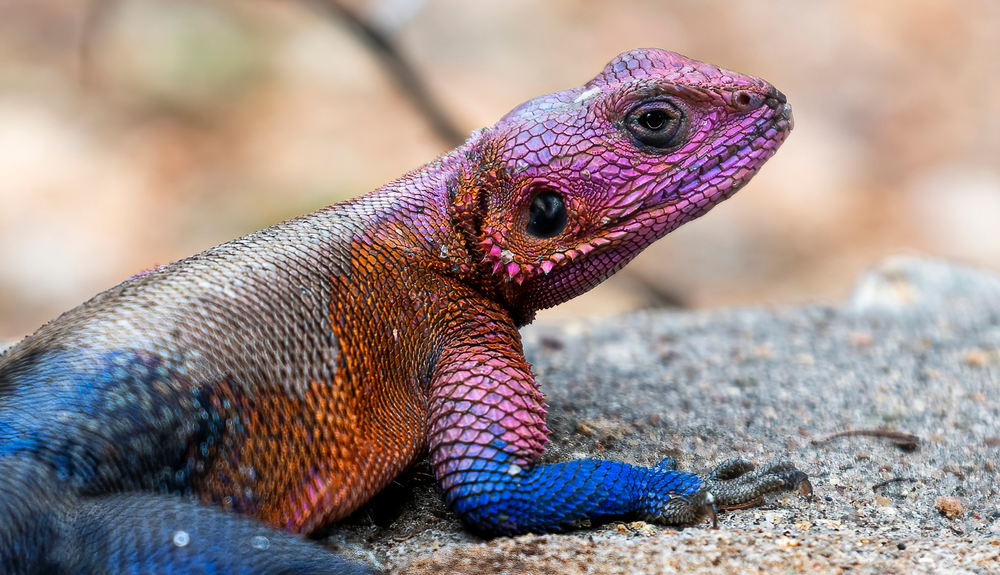 Танзания 2021. Создание обучающих видеороликов Puponin Production