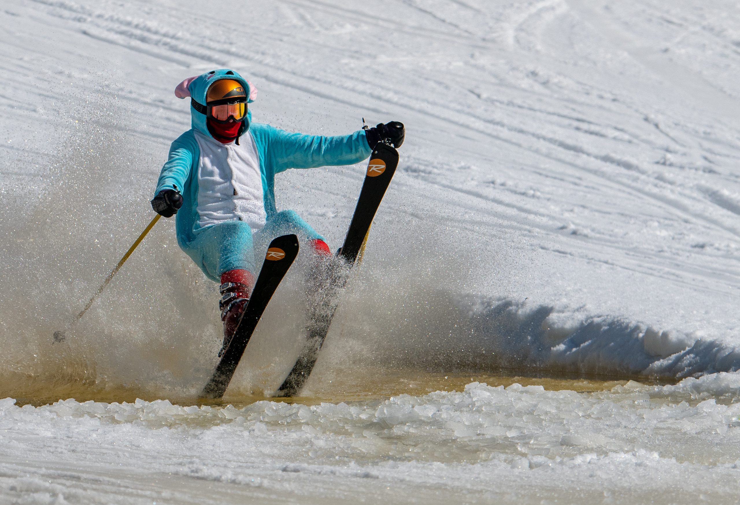 Волен 2021. Создание обучающих видеороликов Puponin Production