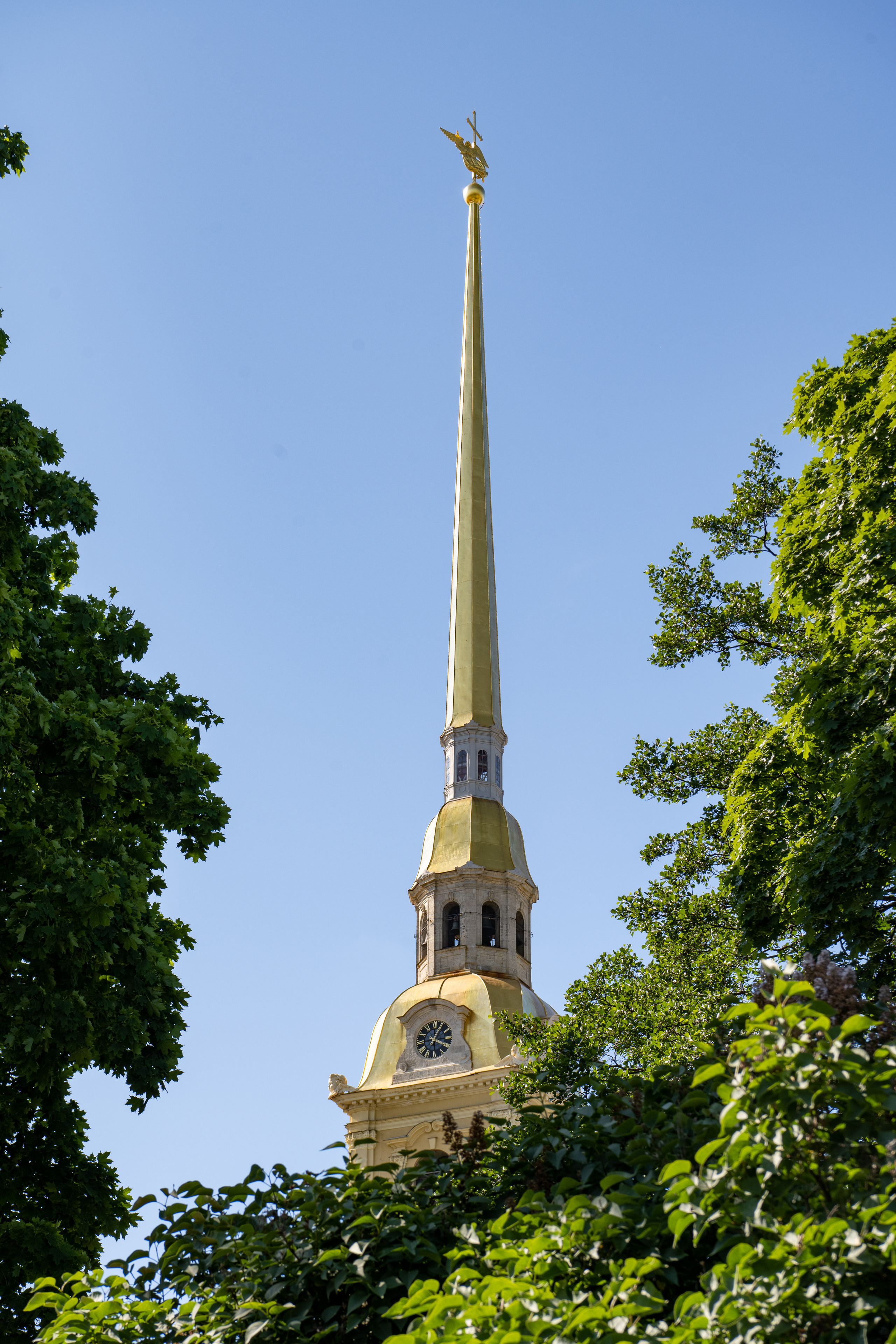 Санкт-Петербург 2021. Создание обучающих видеороликов Puponin Production