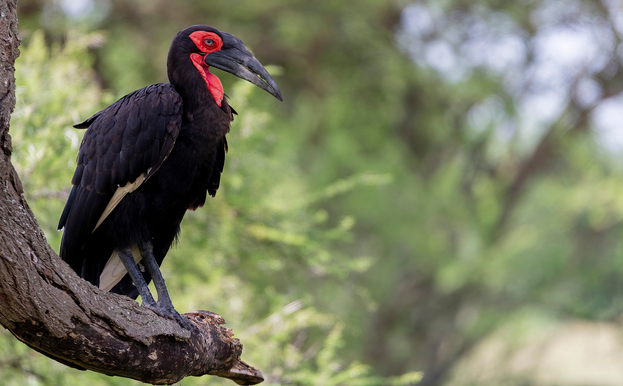 Танзания 2021. Создание обучающих видеороликов Puponin Production