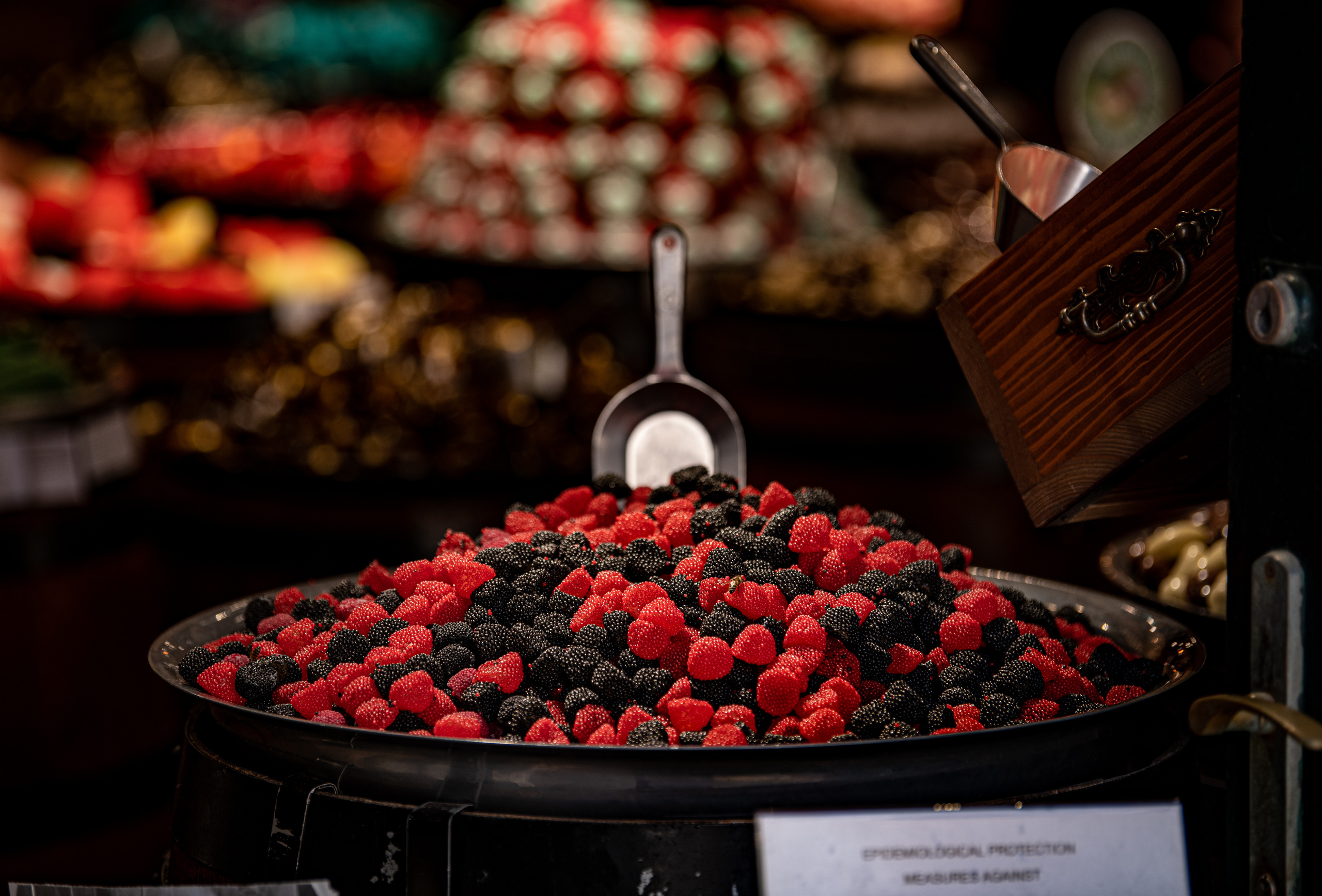 Дубровник 2021. Создание обучающих видеороликов Puponin Production