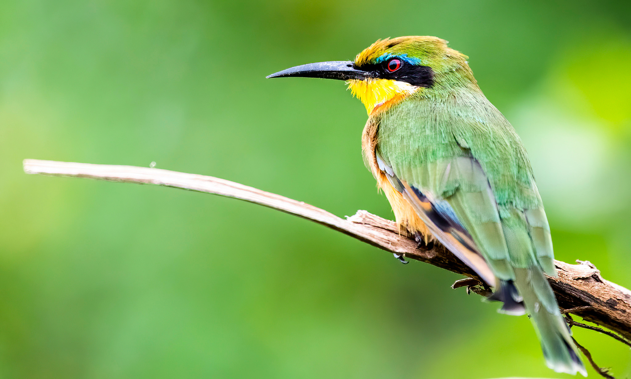 Танзания 2021. Создание обучающих видеороликов Puponin Production