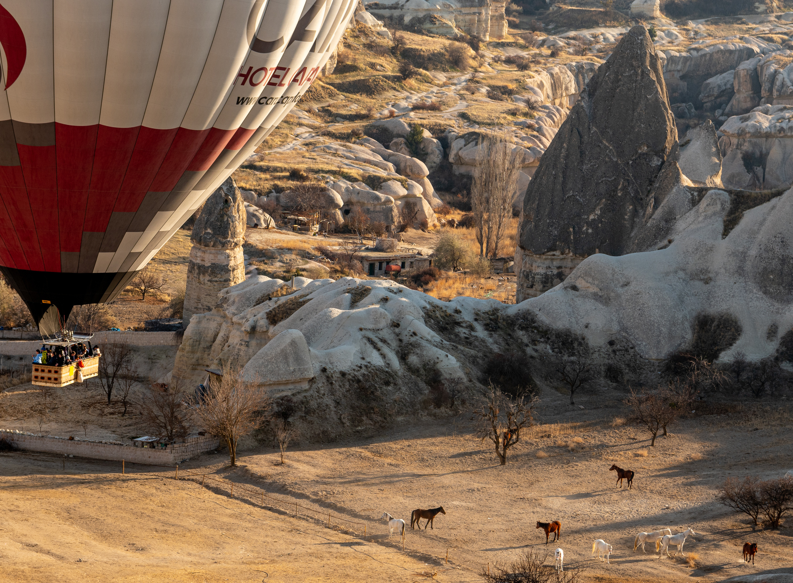 Каппадокия 2020-2021. Создание обучающих видеороликов Puponin Production