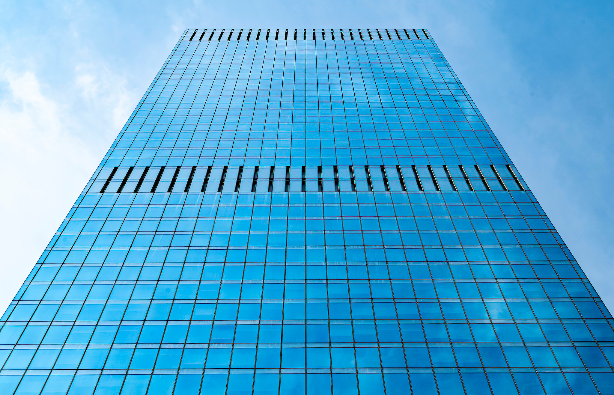 Москва сити. Создание обучающих видеороликов Puponin Production