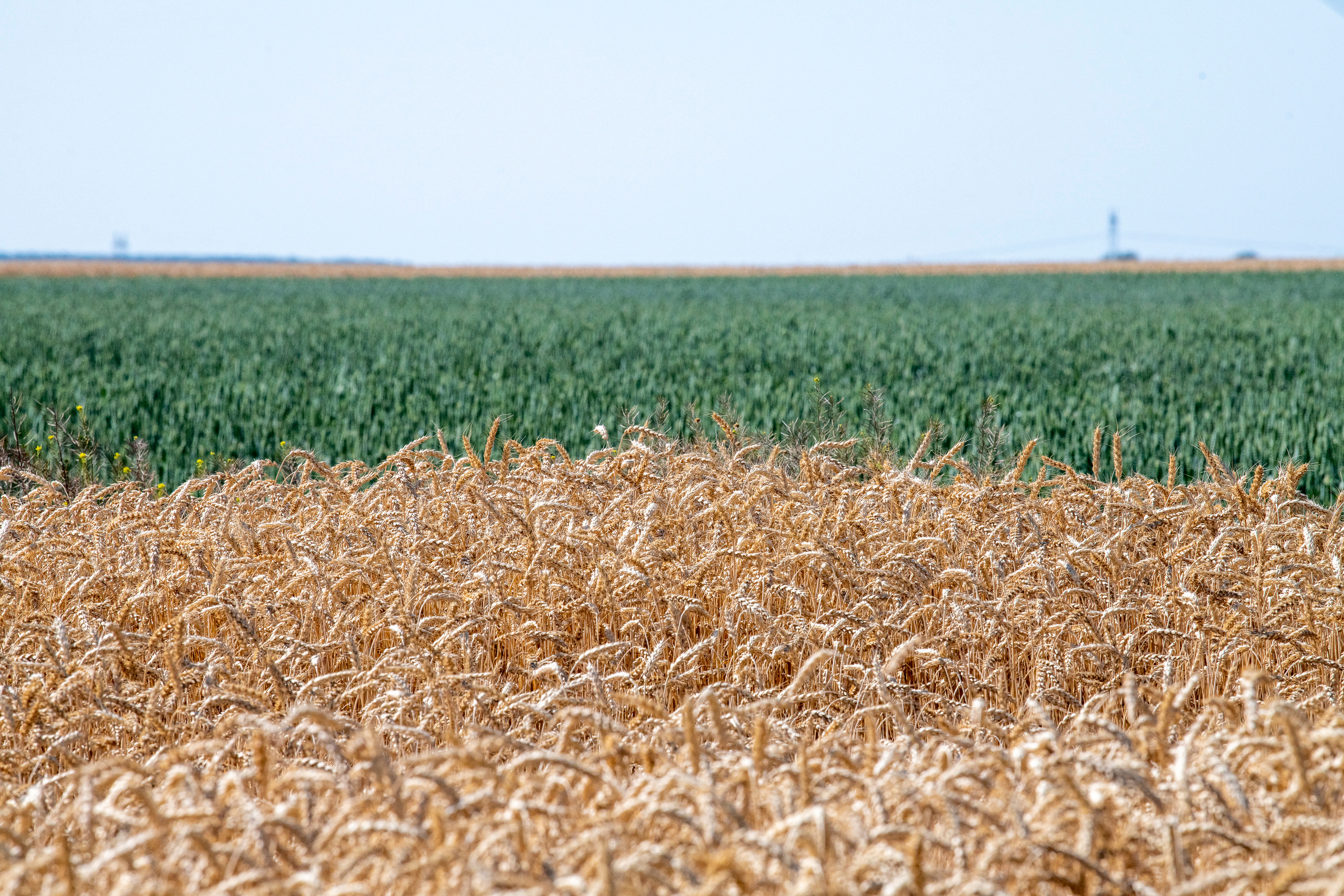 Суздаль и окрестности. Создание обучающих видеороликов Puponin Production