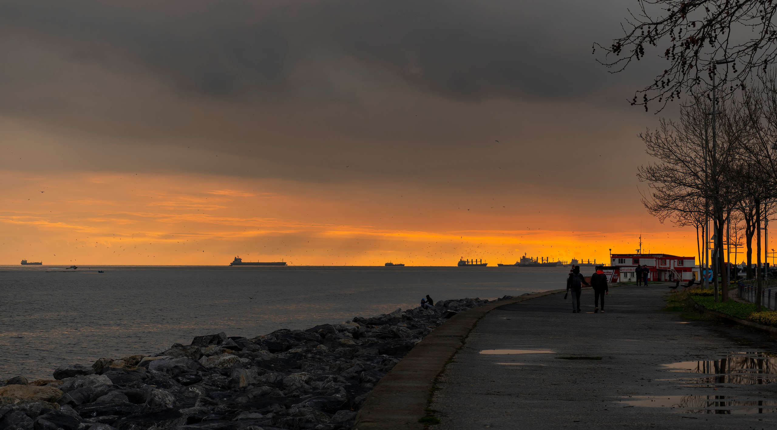 Стамбул 2019-2020. Создание обучающих видеороликов Puponin Production