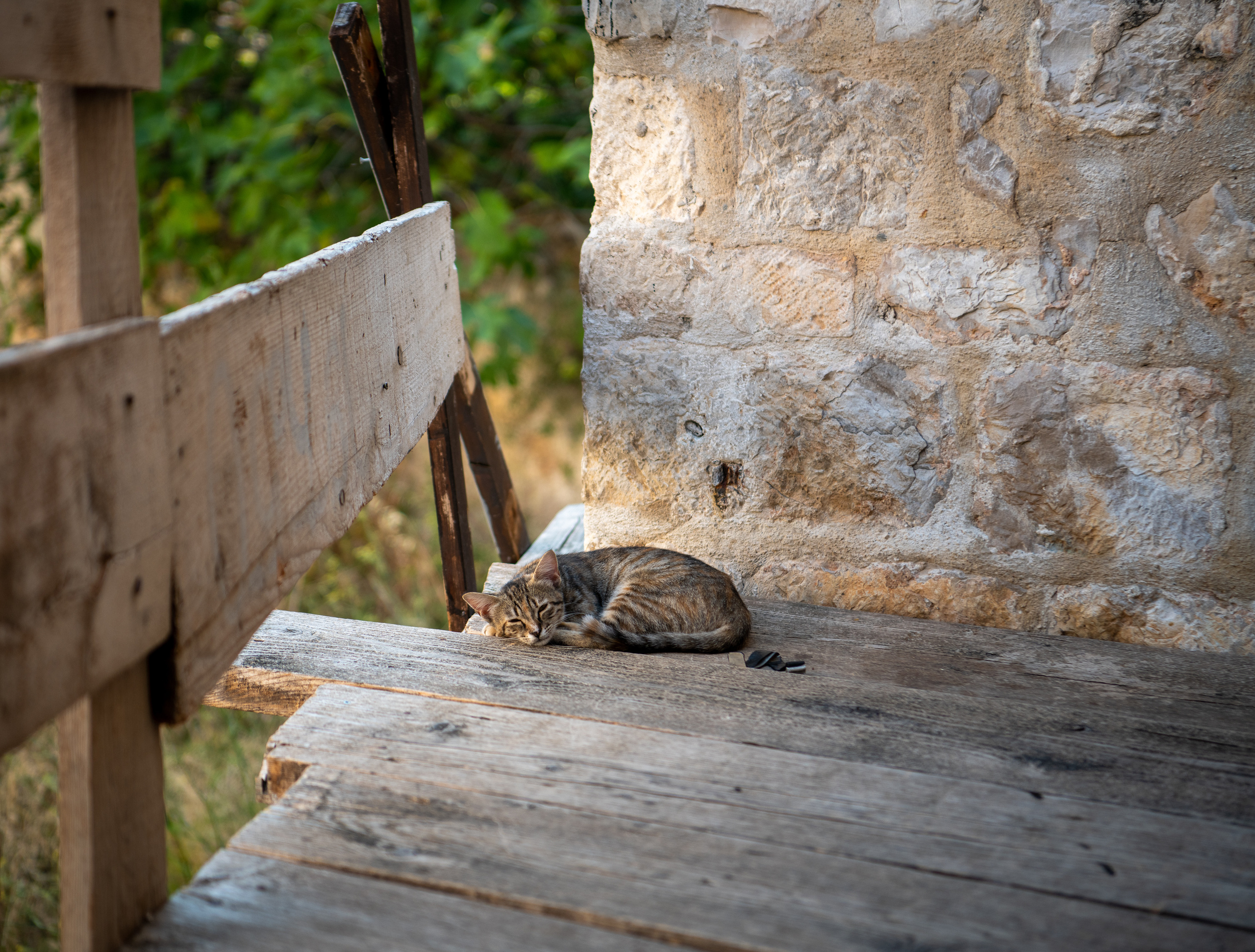 Дубровник 2021. Создание обучающих видеороликов Puponin Production