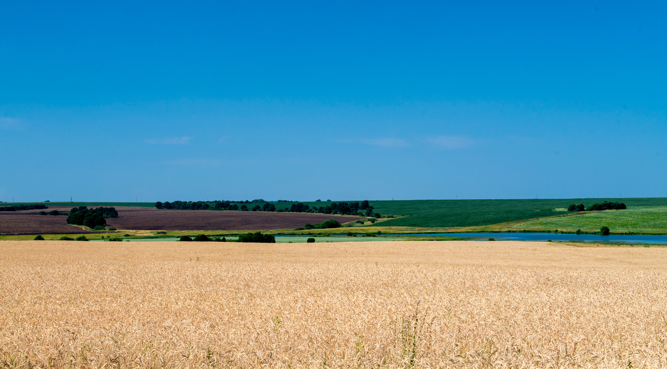 Суздаль и окрестности. Создание обучающих видеороликов Puponin Production