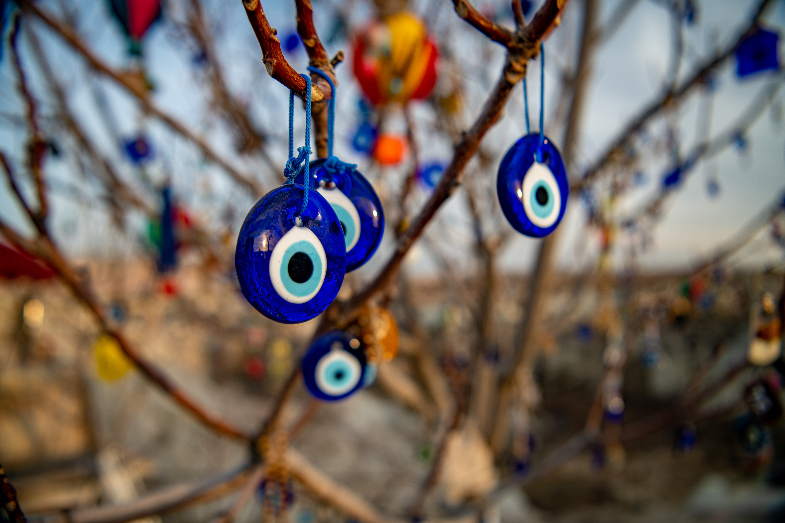 Каппадокия 2020-2021. Создание обучающих видеороликов Puponin Production