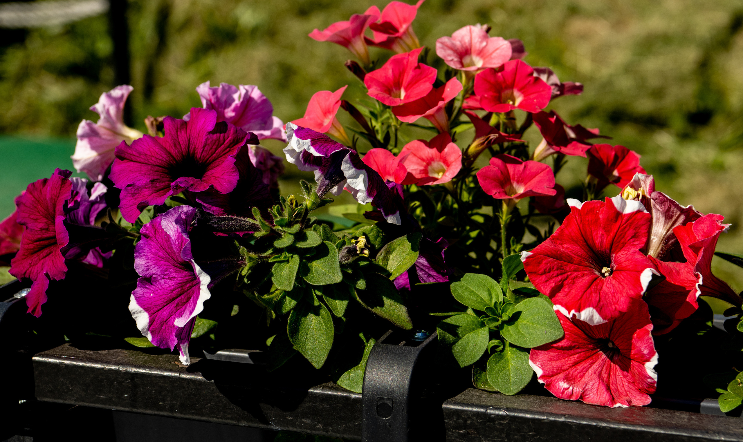 Санкт-Петербург 2021. Создание обучающих видеороликов Puponin Production