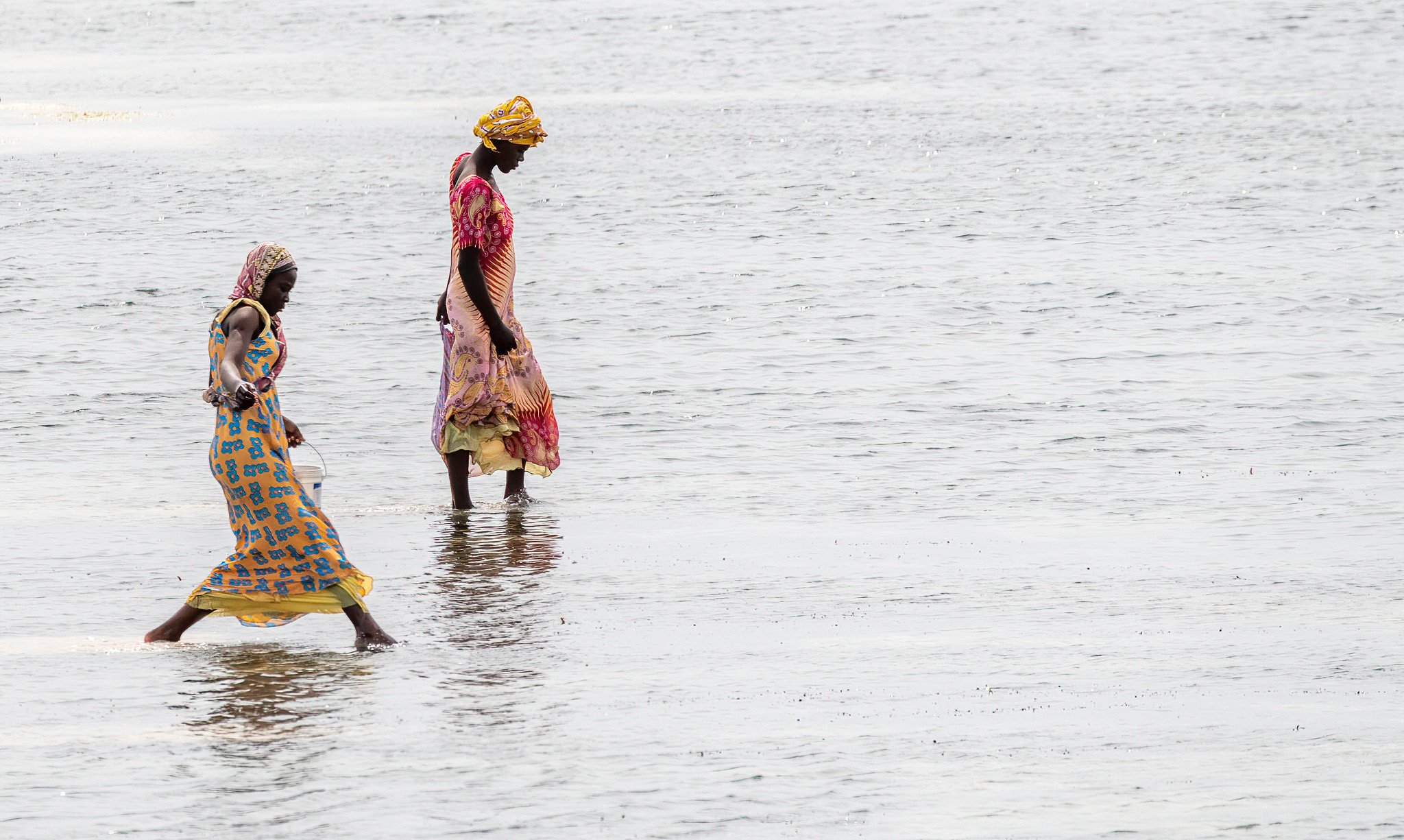 Танзания 2021. Создание обучающих видеороликов Puponin Production