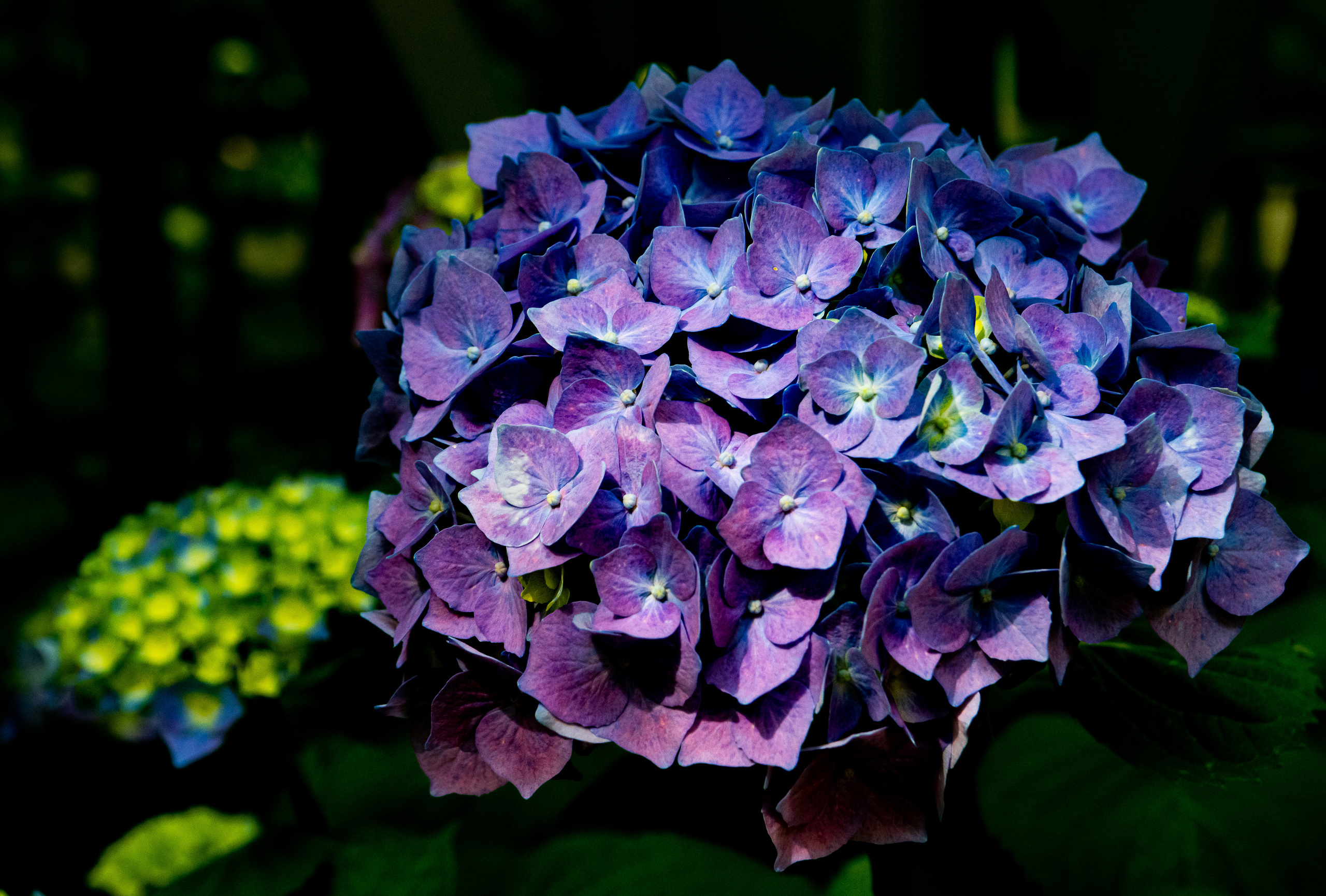 Санкт-Петербург 2021. Создание обучающих видеороликов Puponin Production