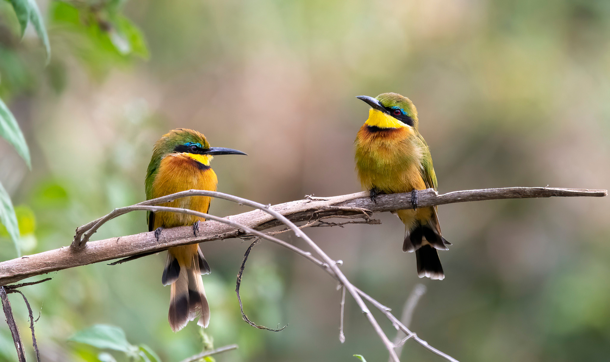 Танзания 2021. Создание обучающих видеороликов Puponin Production