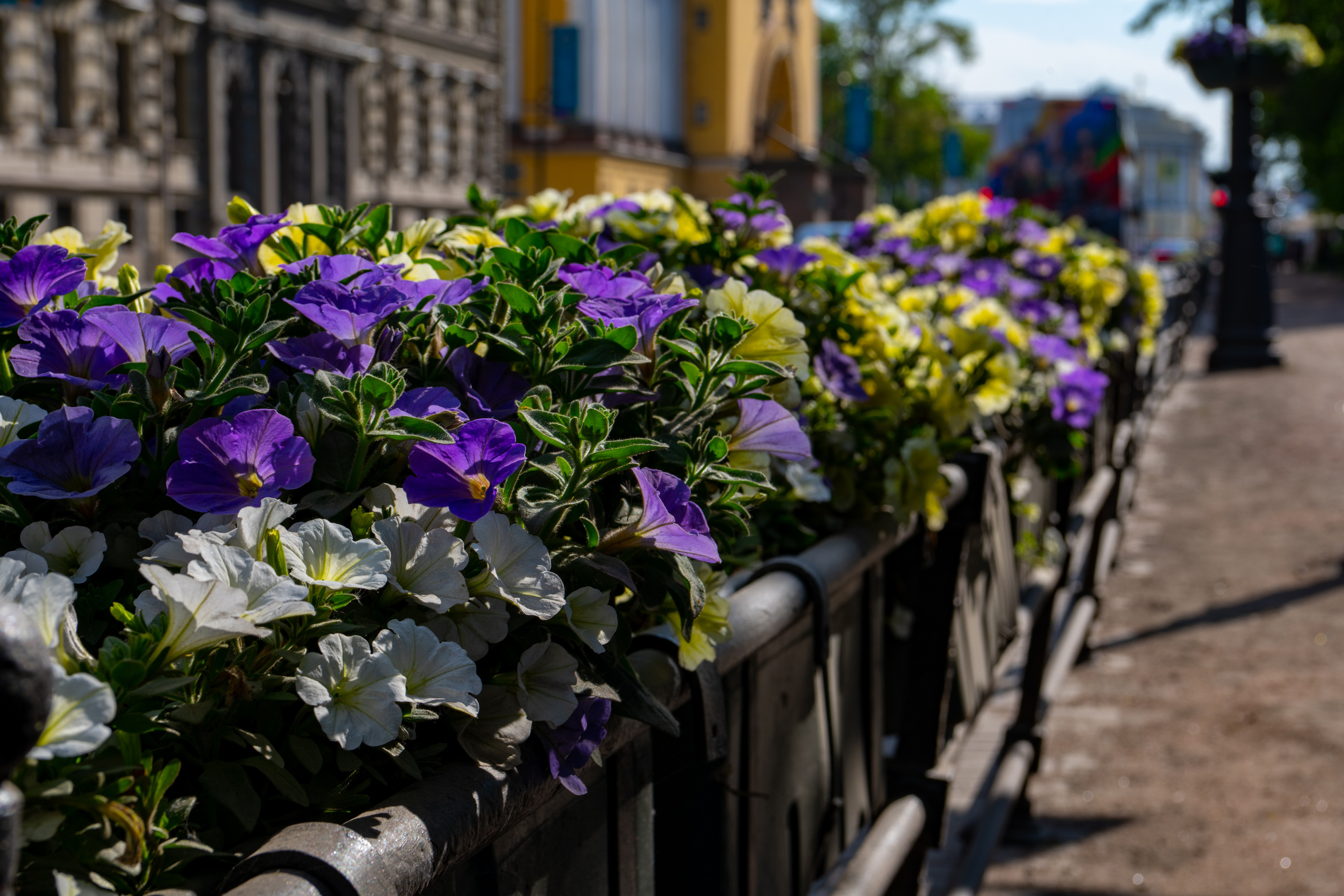 Санкт-Петербург 2021. Создание обучающих видеороликов Puponin Production