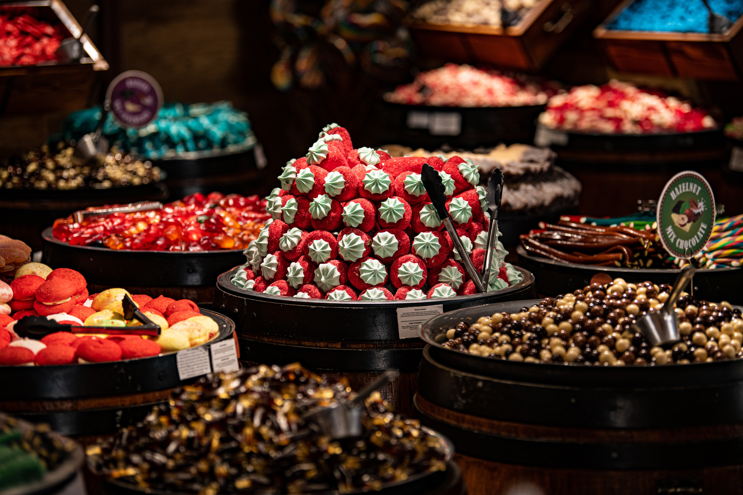 Дубровник 2021. Создание обучающих видеороликов Puponin Production