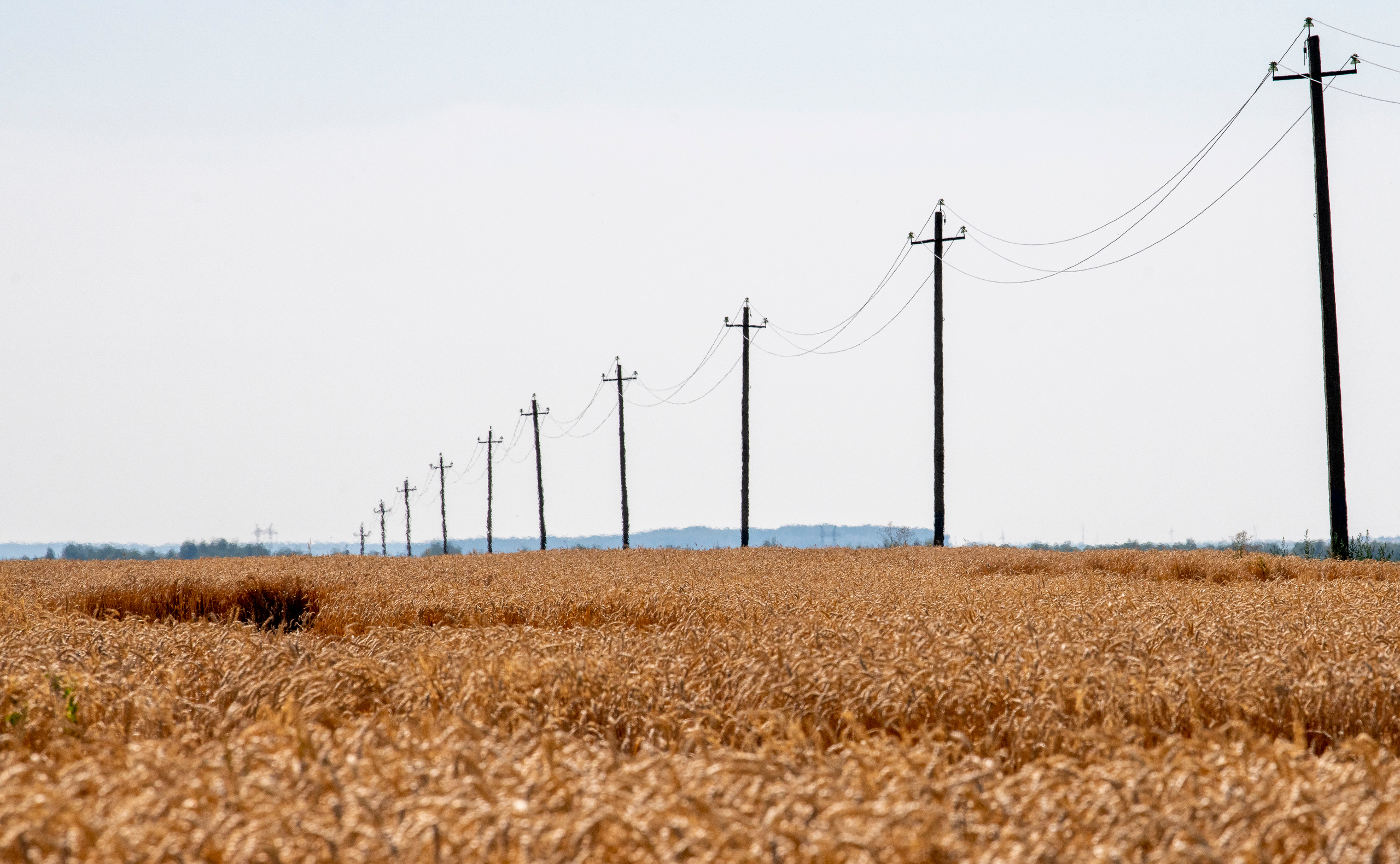 Суздаль и окрестности. Создание обучающих видеороликов Puponin Production